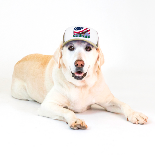 PupLid USA Designs | Size Large Dog Hat