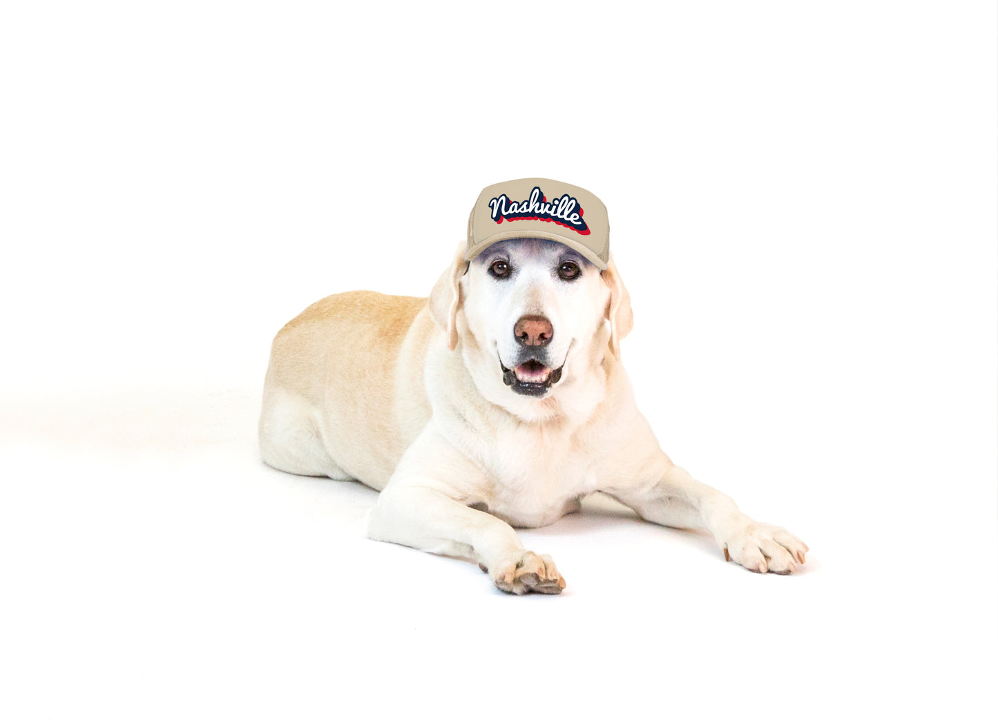 PupLid Cities & States | Solid Colors | Size Large Dog Hat