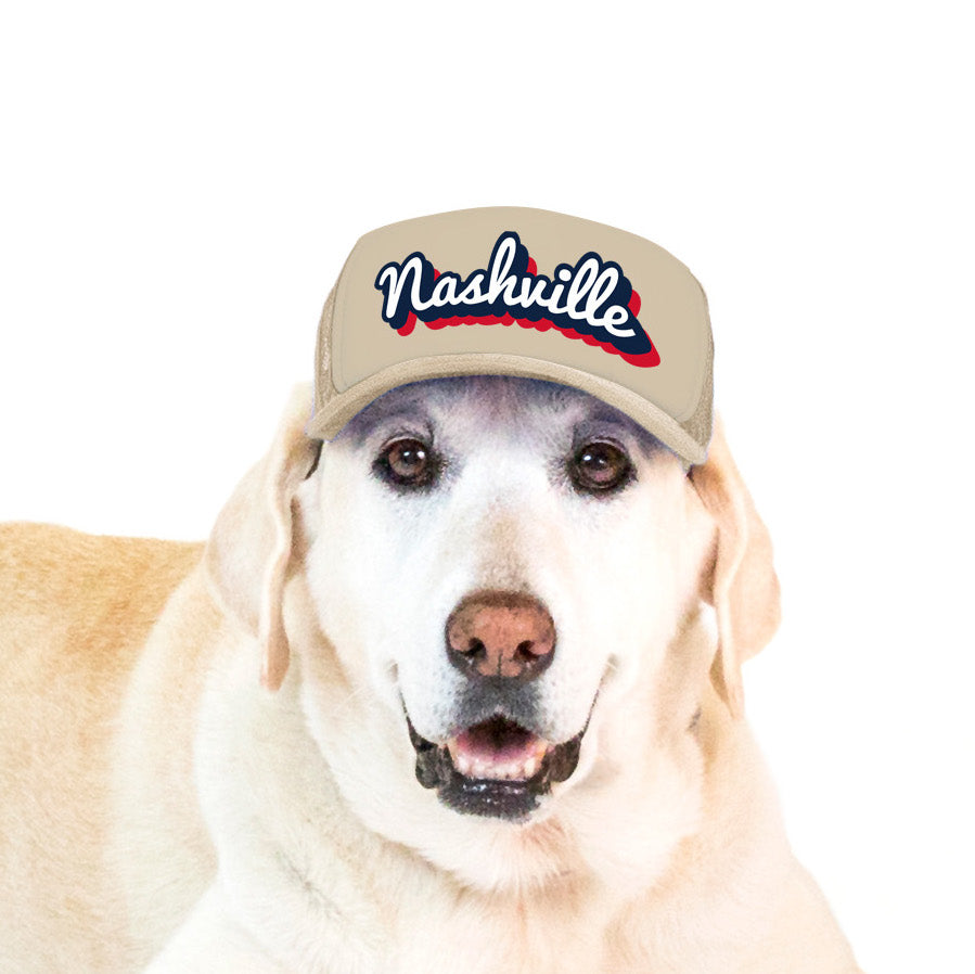 PupLid Cities & States | Solid Colors | Size Large Dog Hat