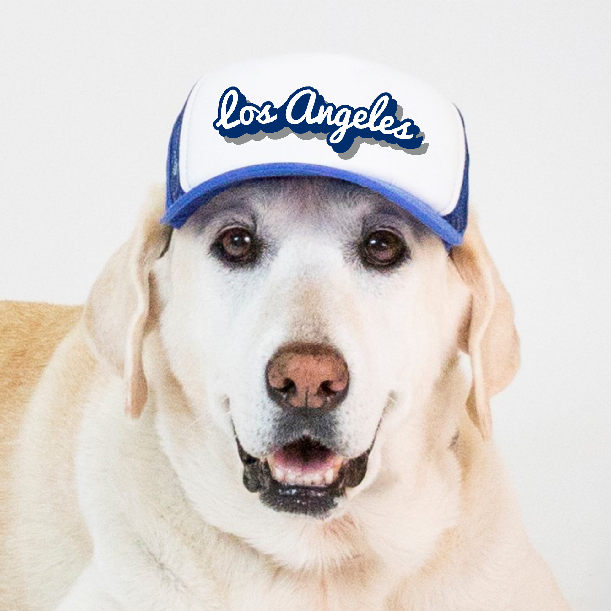 Los Angeles Dodgers V-Neck Dog Jersey