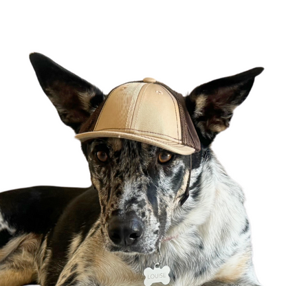 PupLid Baseball Cap | Size Small Dog Cap