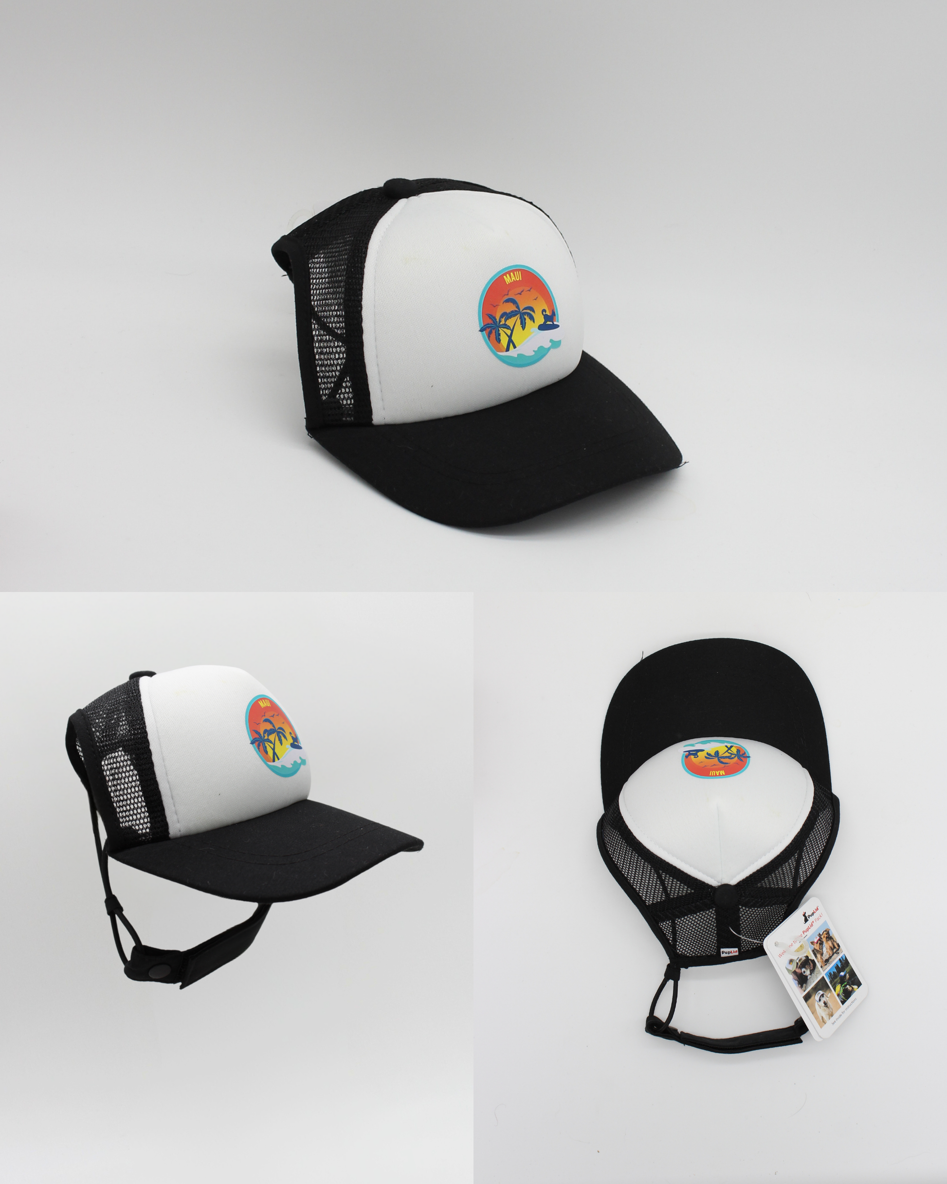 maui surfer dog | pawsitive partner