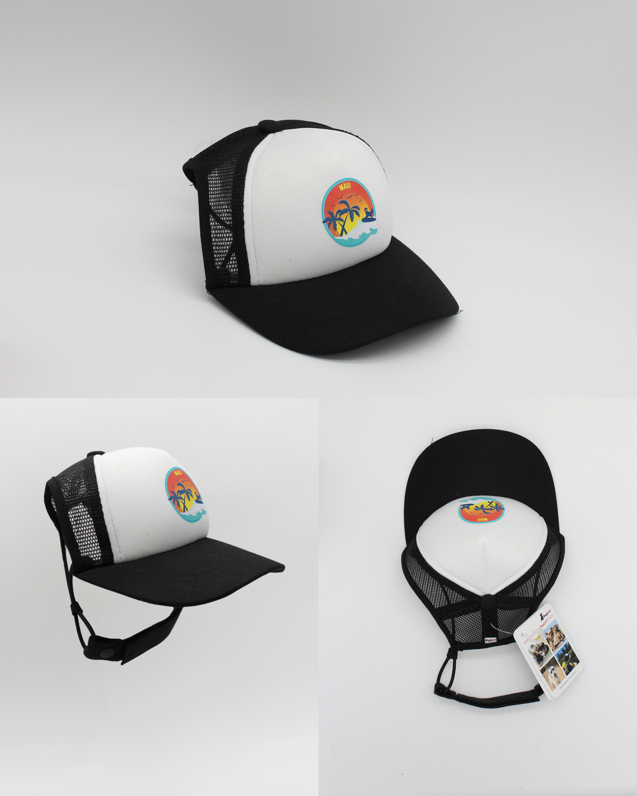 maui surfer dog | pawsitive partner