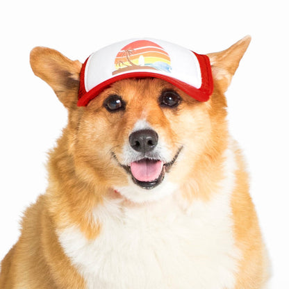 PupLid Sunset Designs | Size Medium Dog Hat