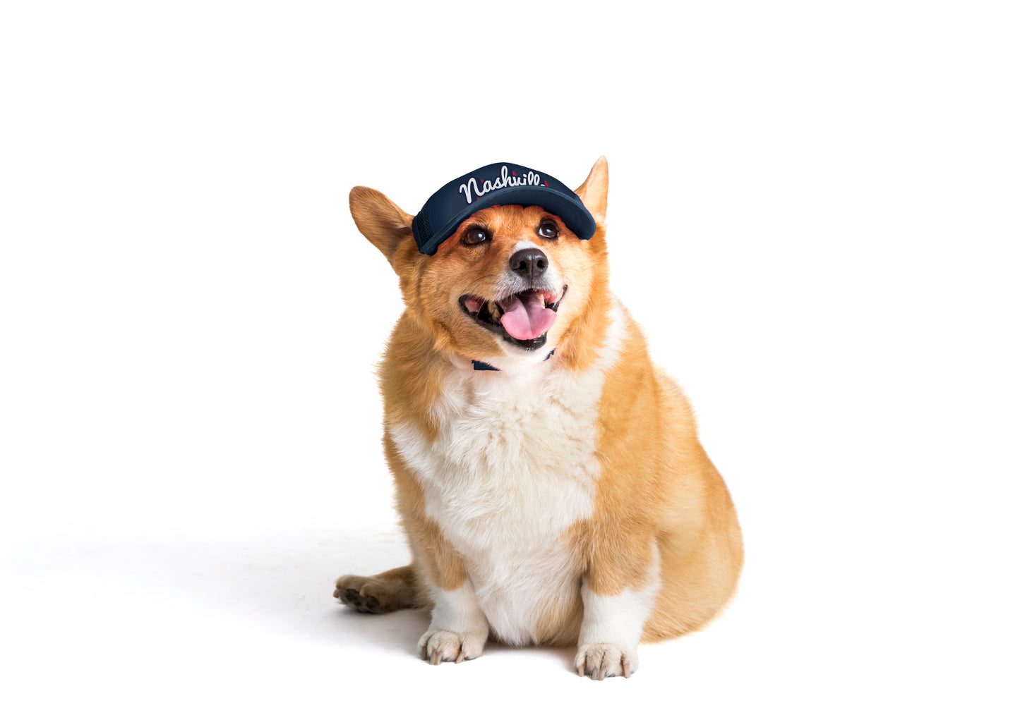 PupLid Cities & States | Solid Colors | Size Medium Dog Hat