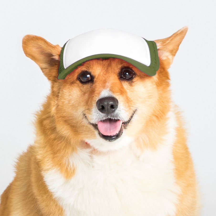 Trucker Hat for Dogs – PupLid