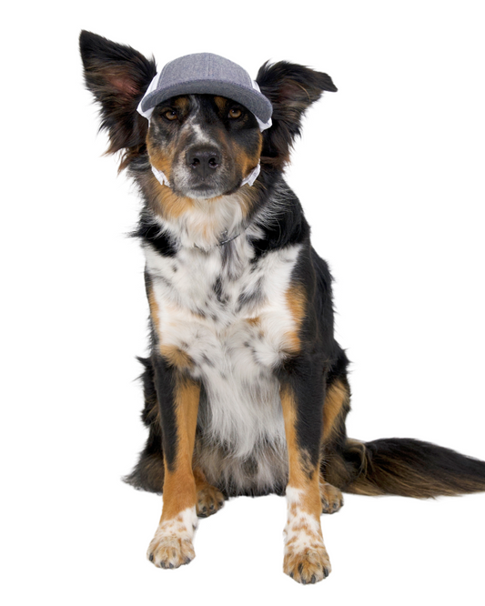 baseball cap size medium