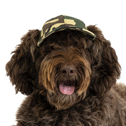 PupLid medium camo baseball dog hat modeled by a labradoodle