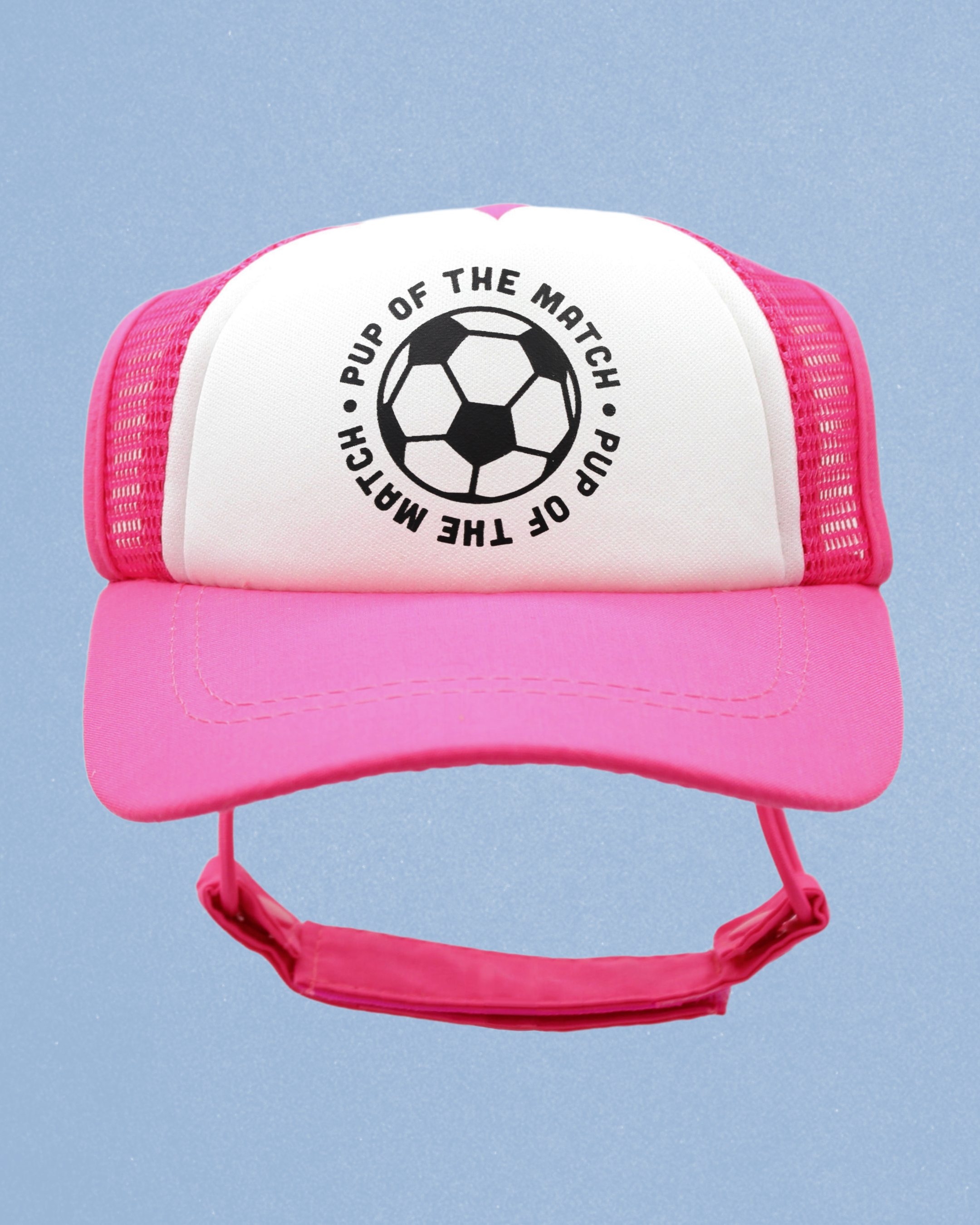 sports collection