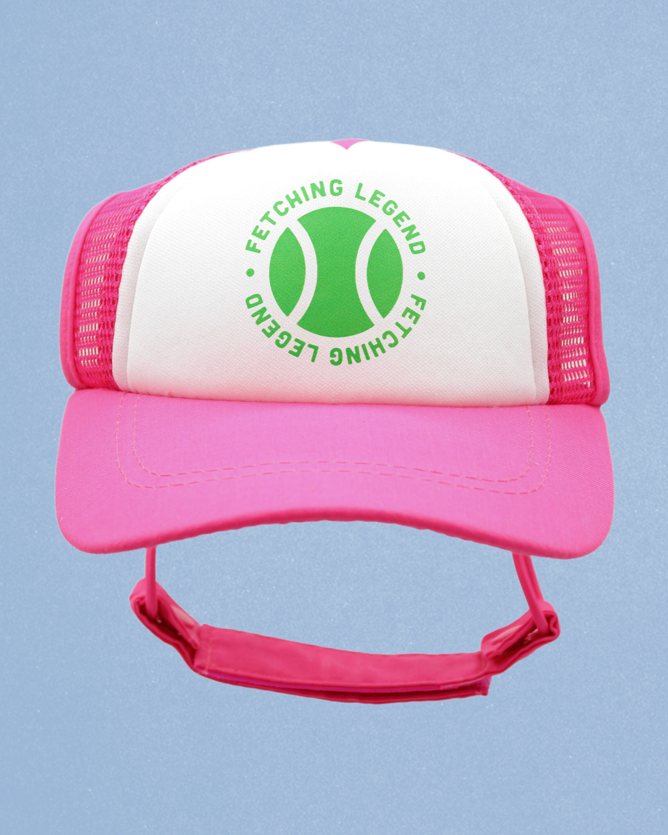 sports collection