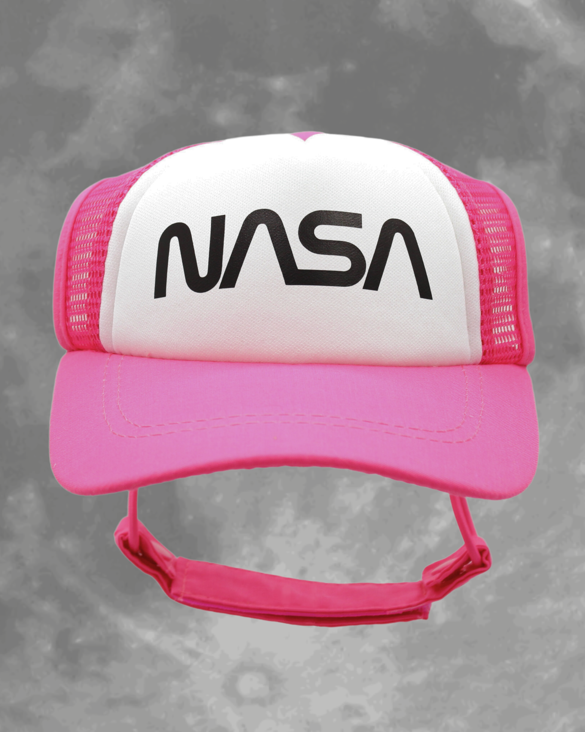 NASA worm