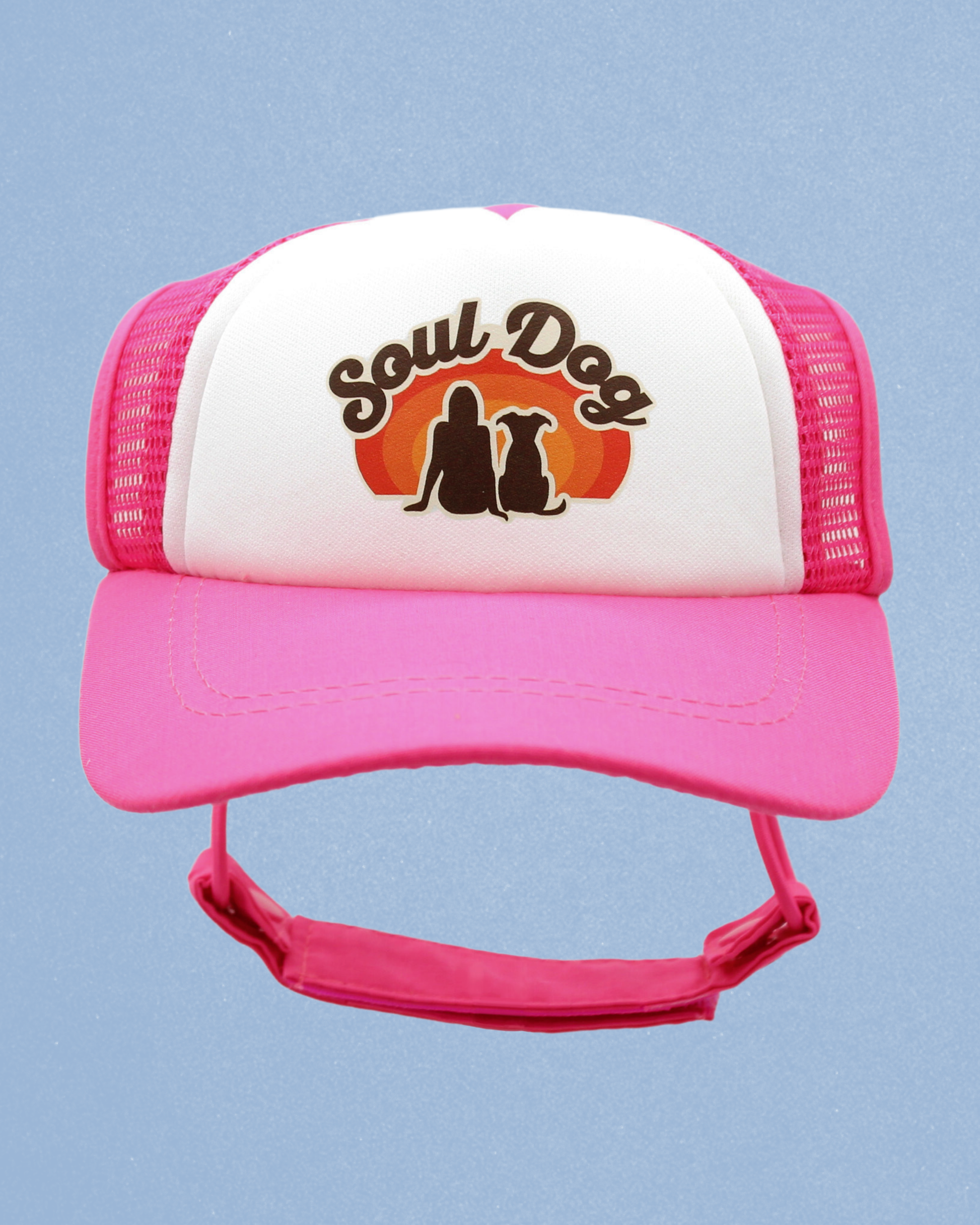 soul dog mom