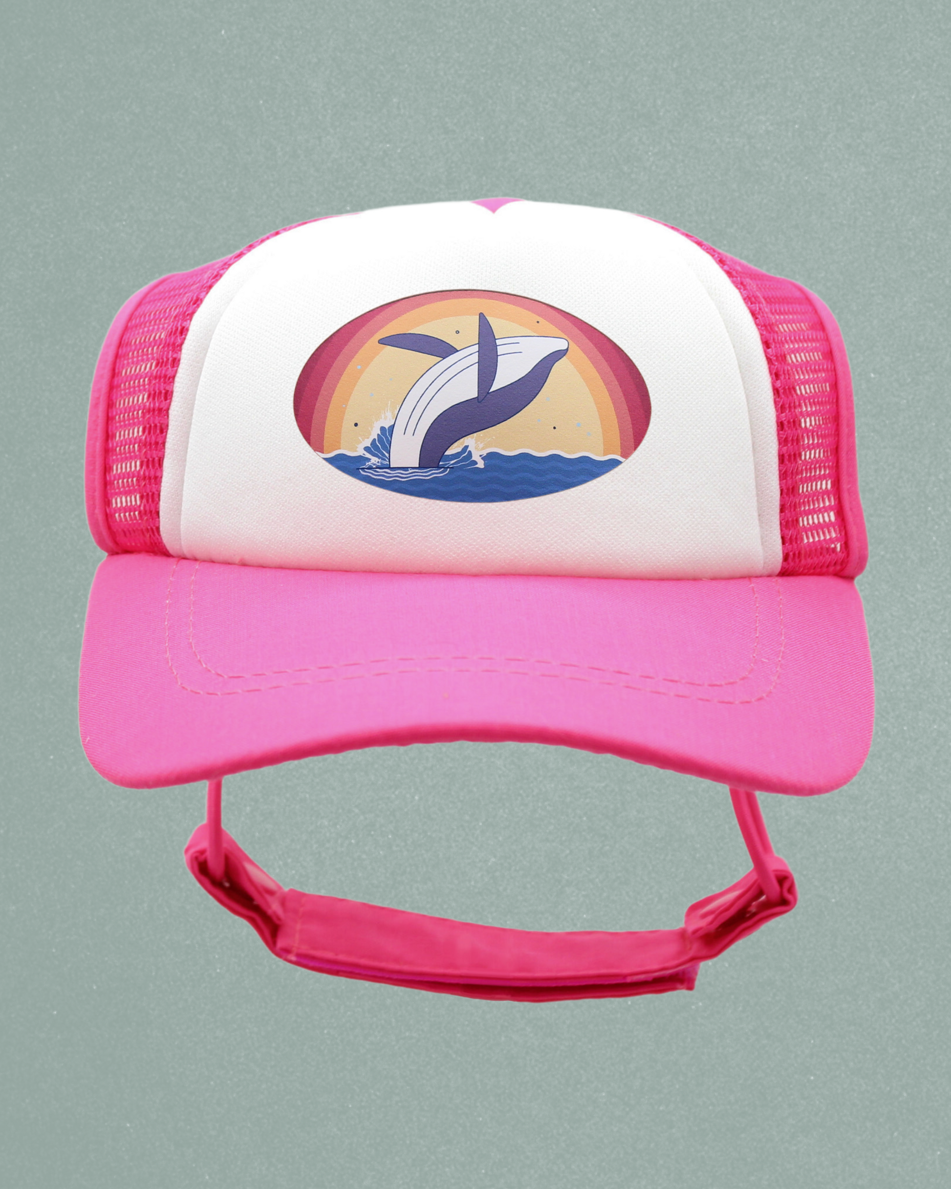 whale