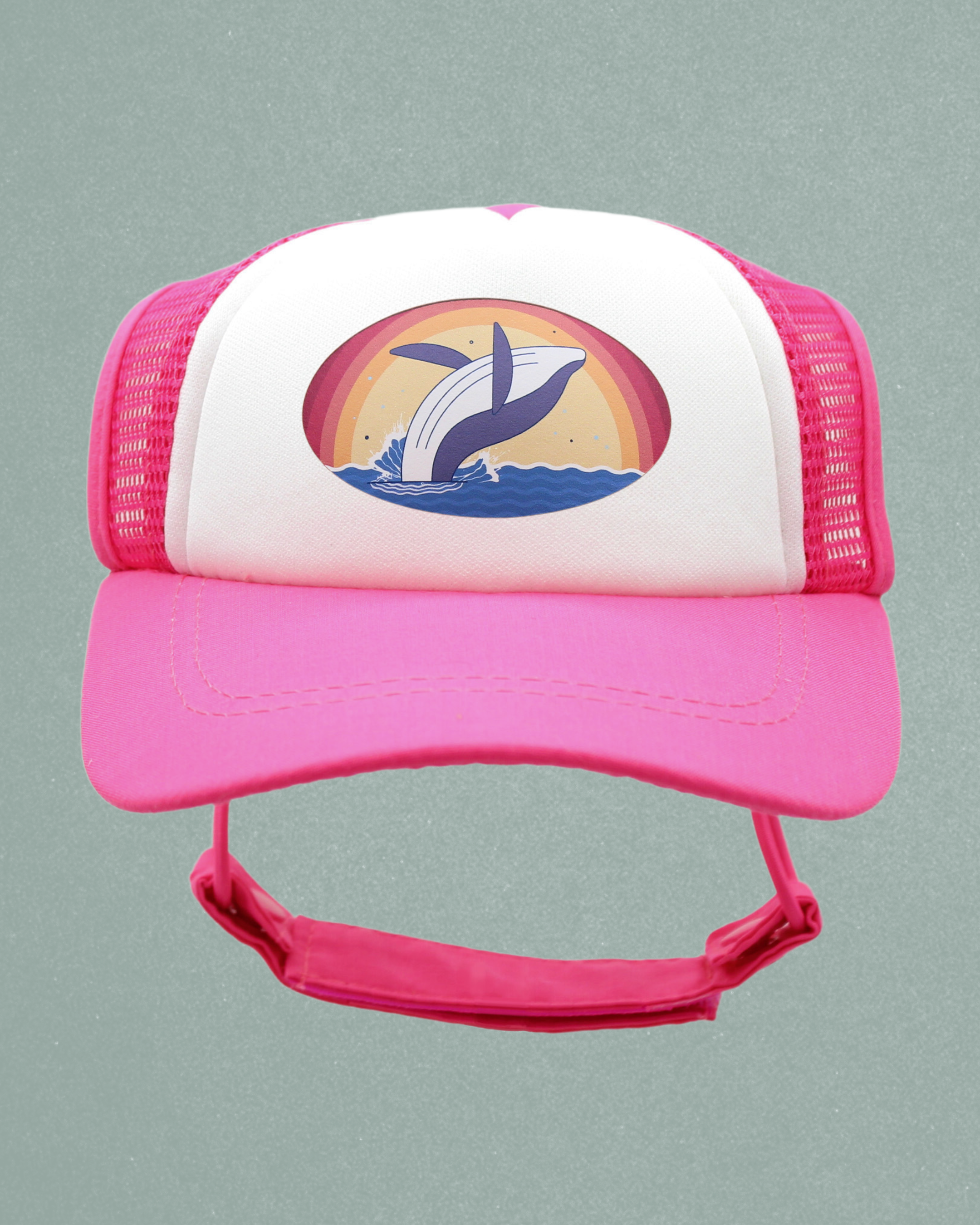 whale