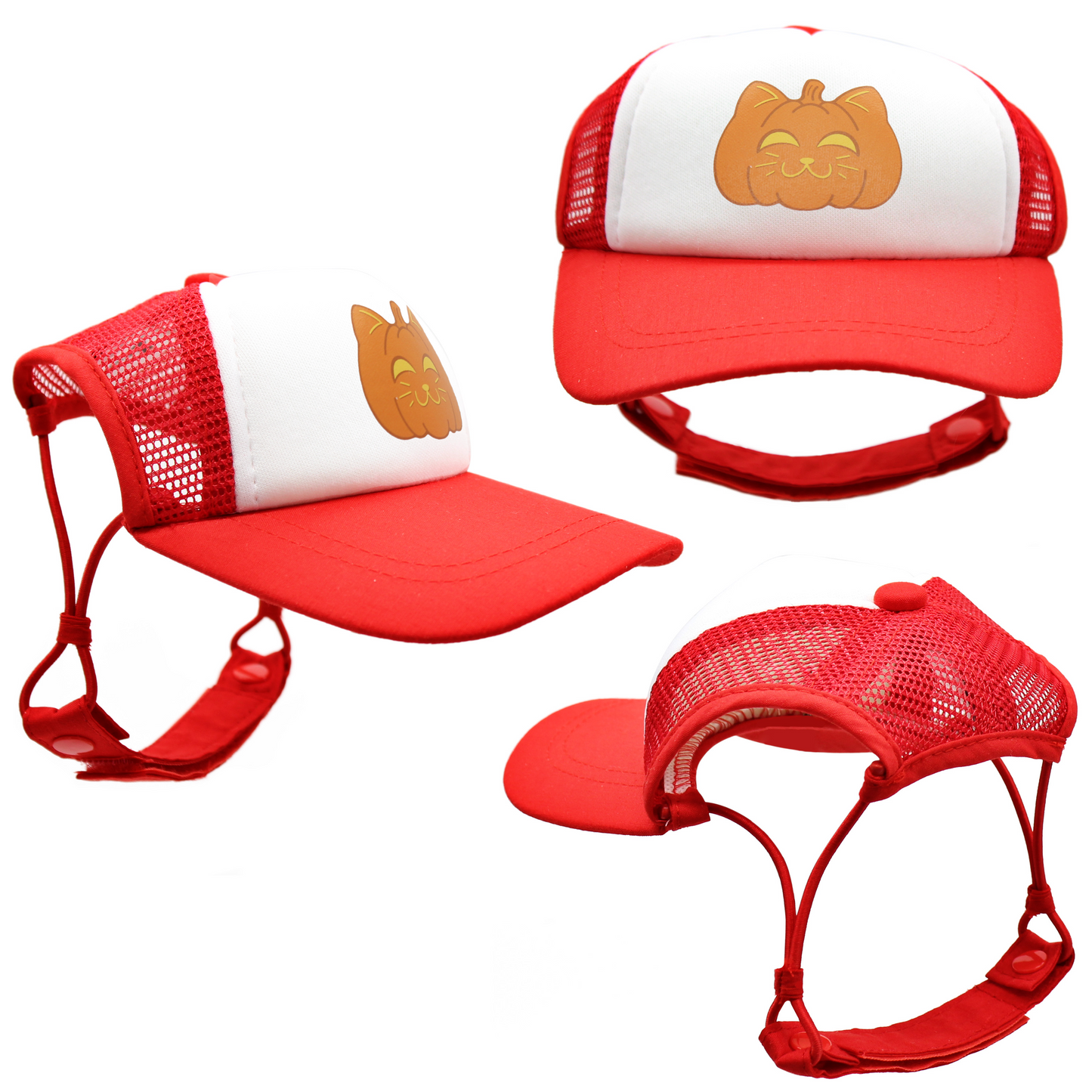 PupLid Cat Hats | Size Medium Cats