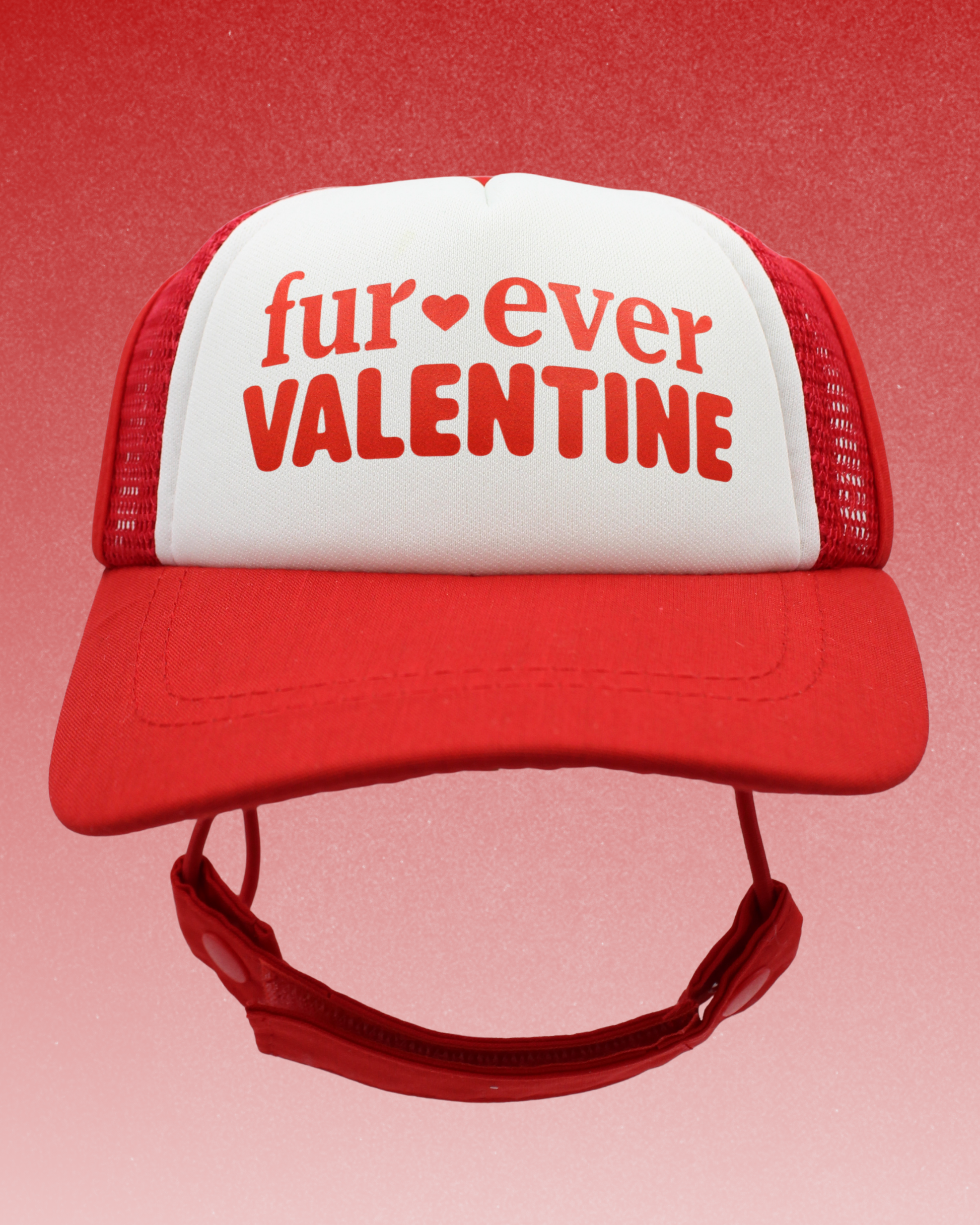 fur-ever valentine