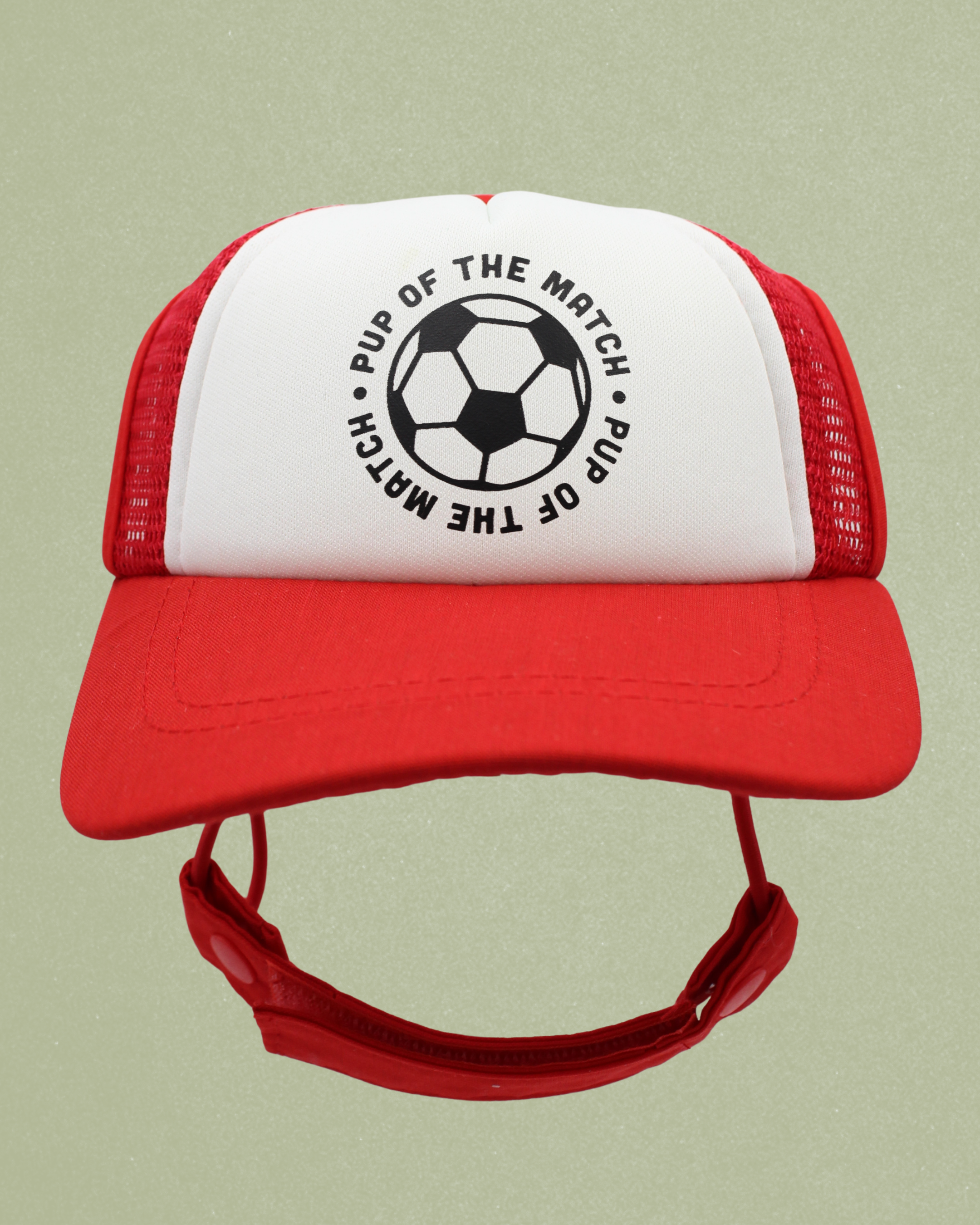 sports collection