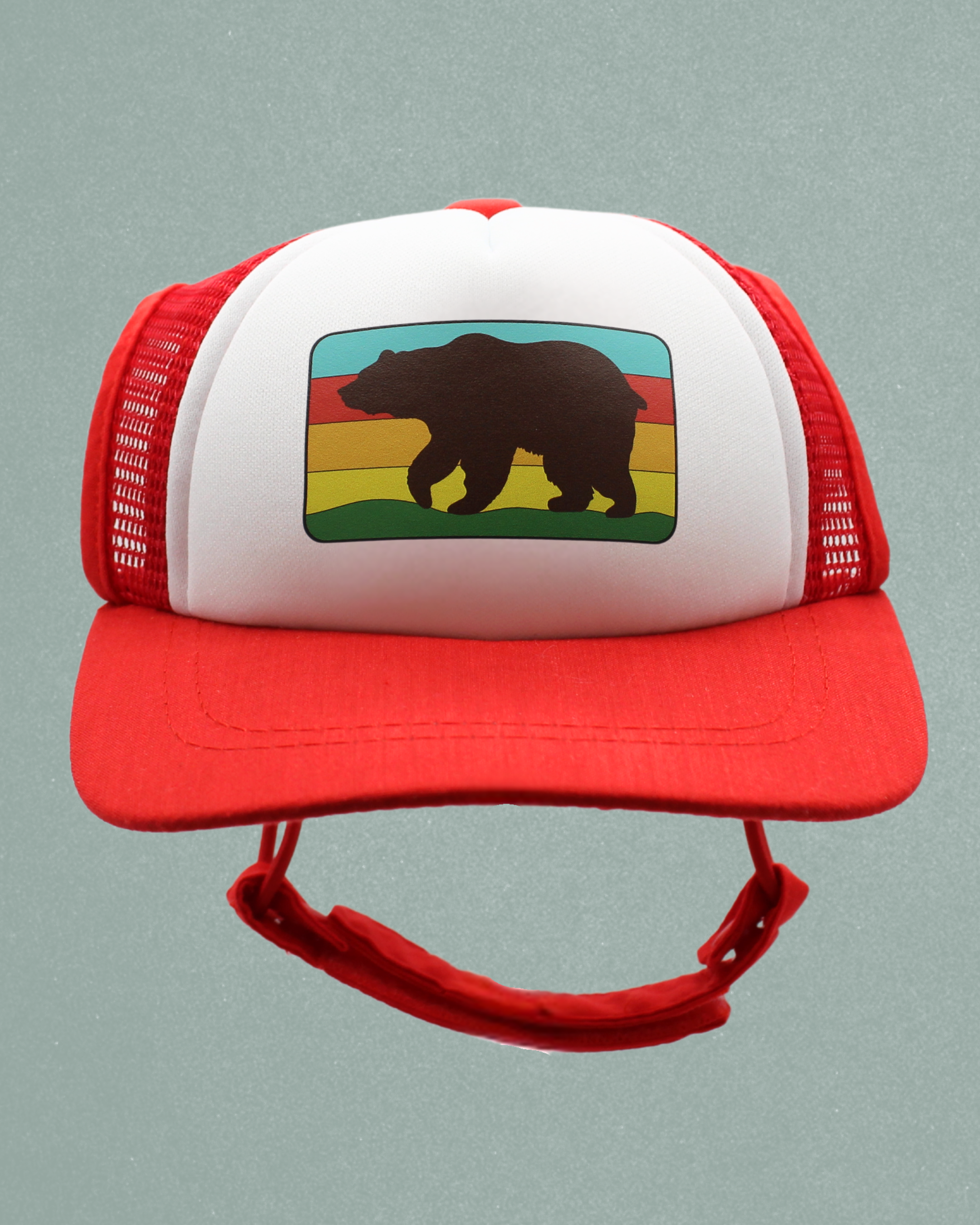 bear cat hat