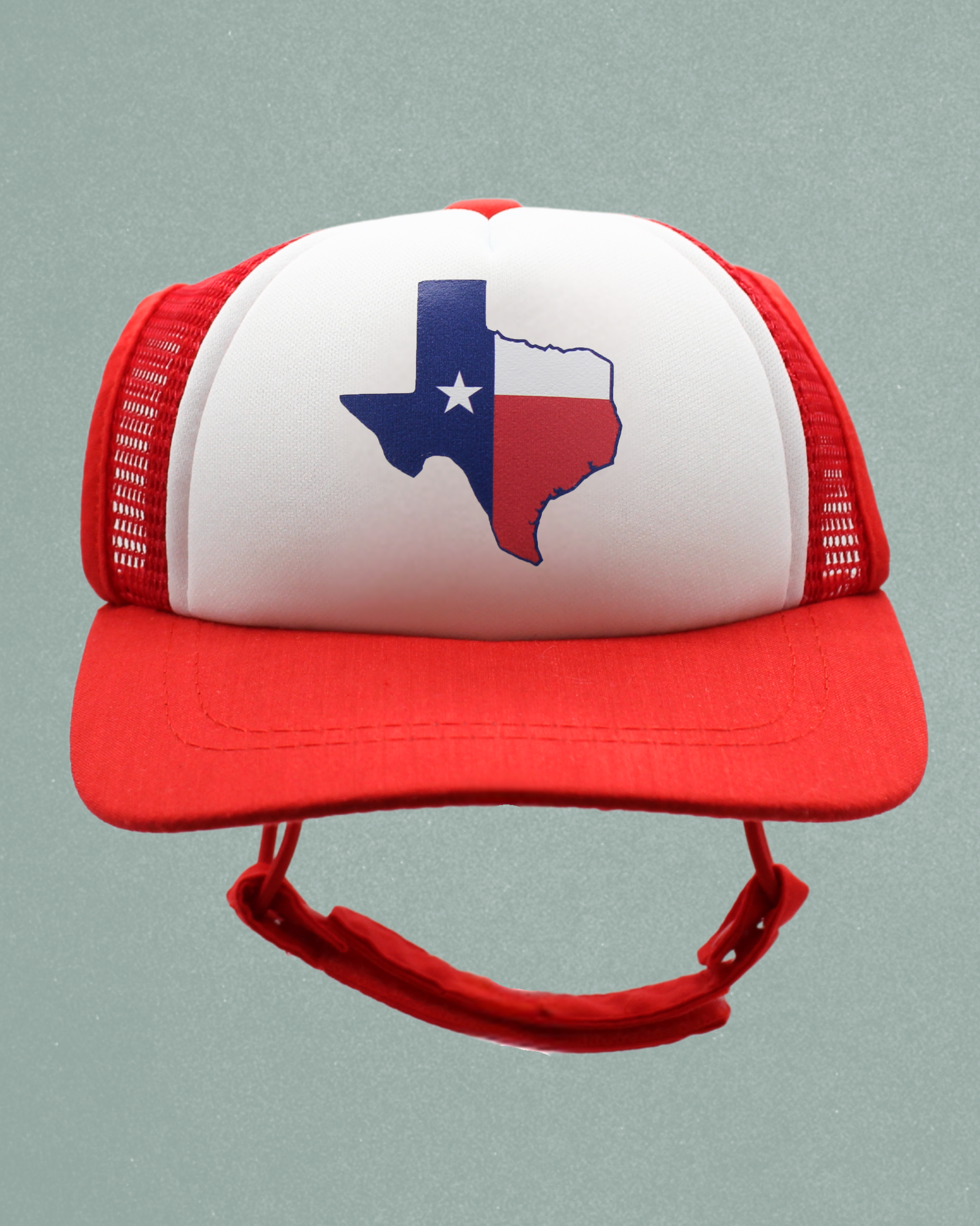 texas flag