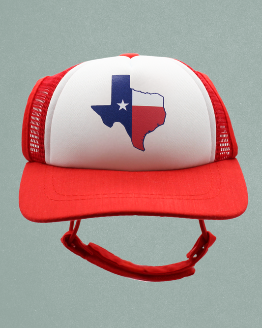 texas flag