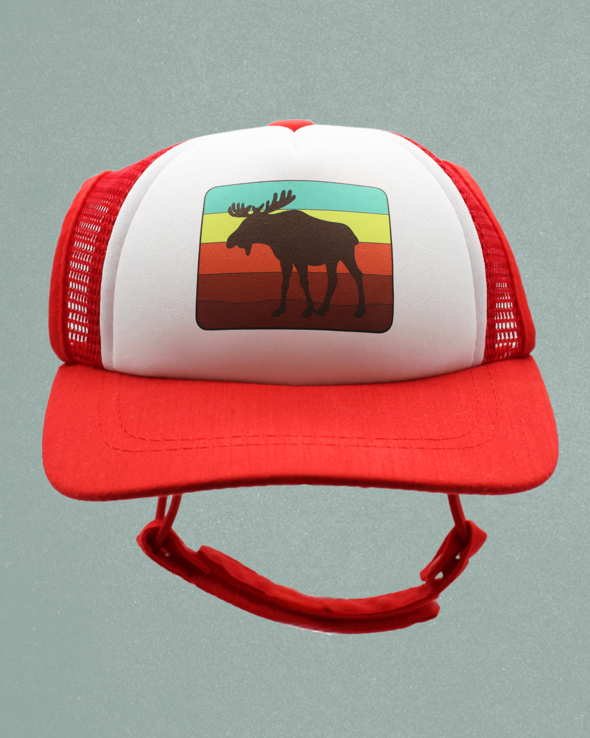 moose