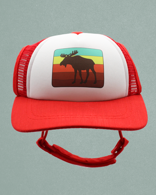 moose