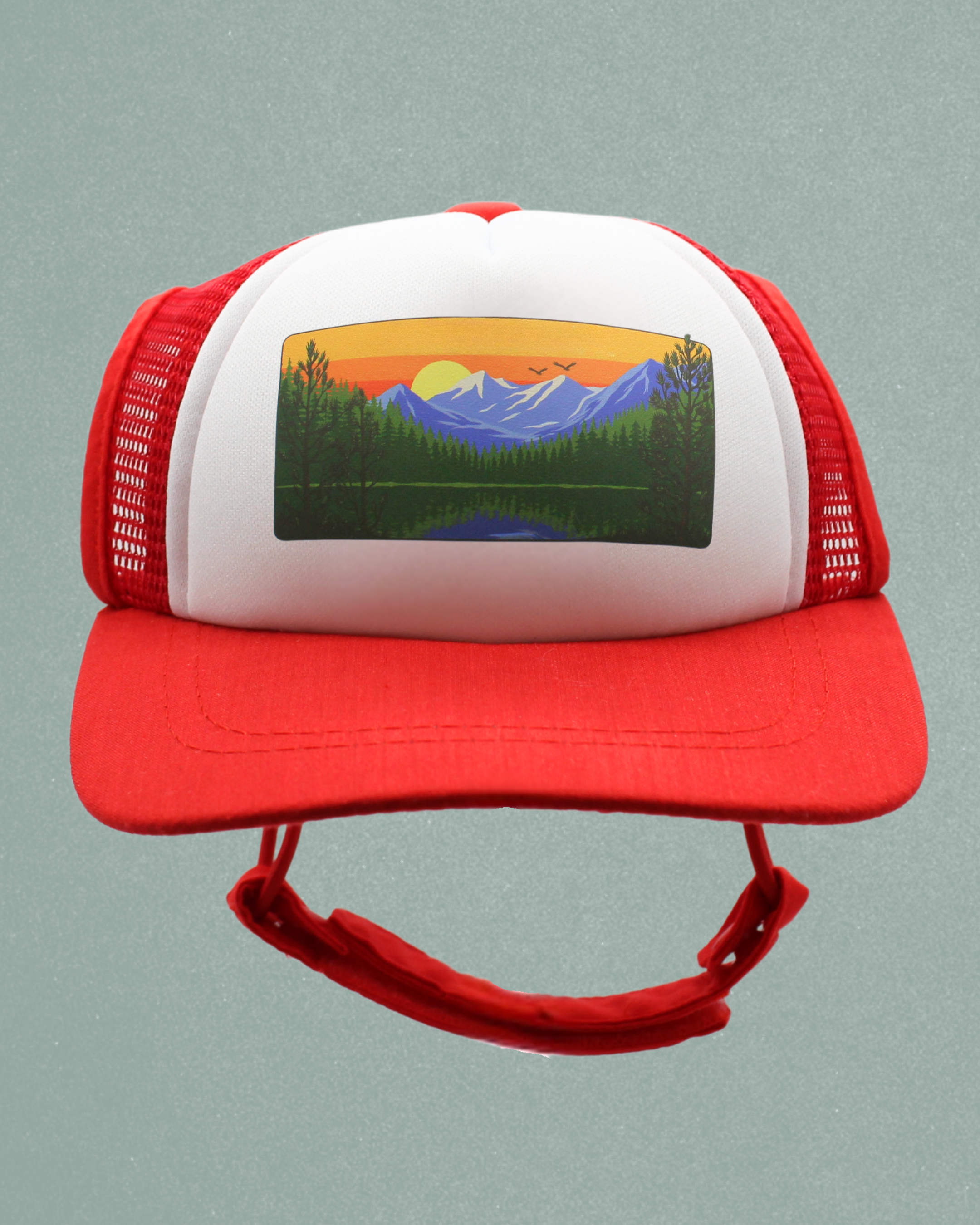 mountain lake cat hat