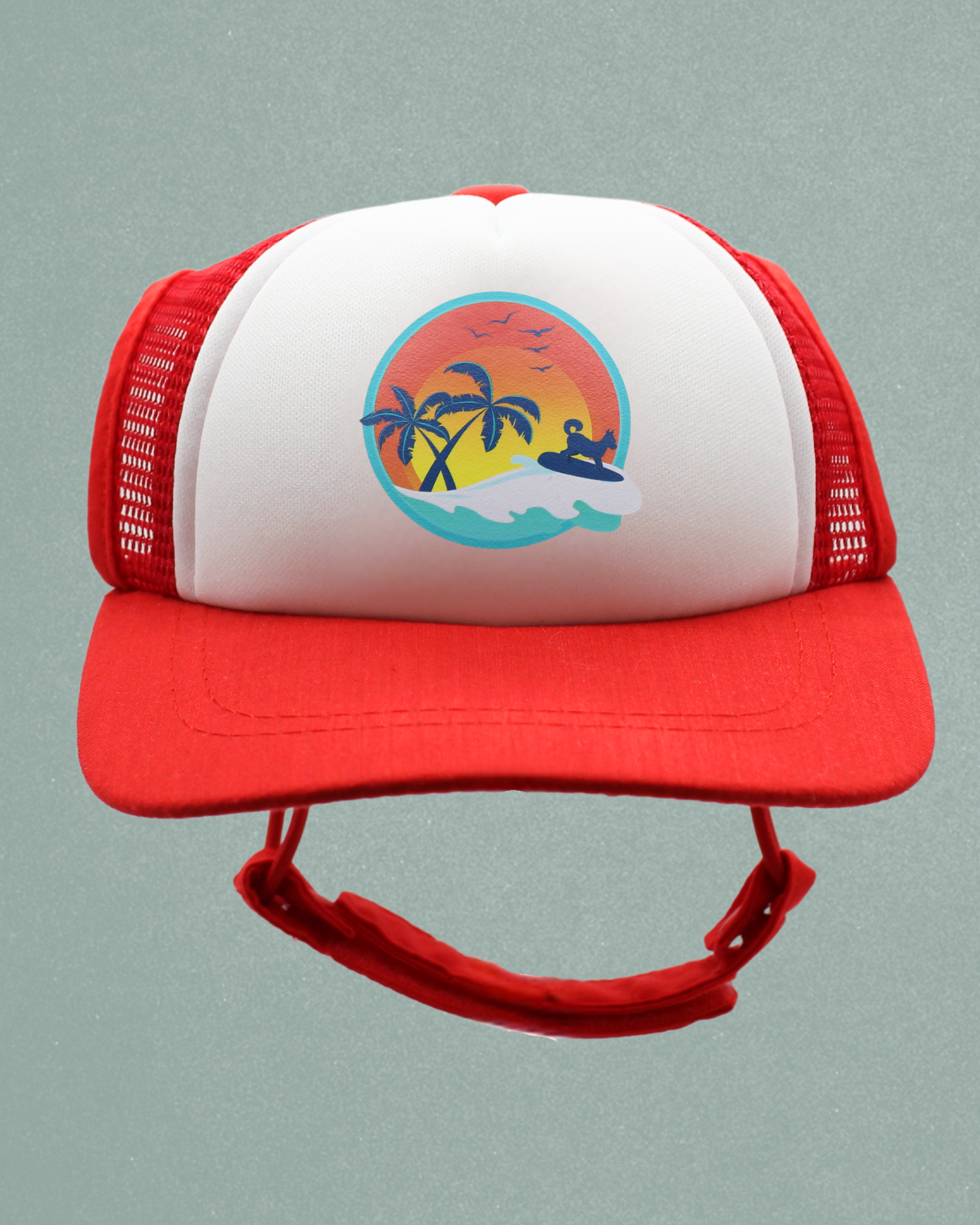 surfer dog