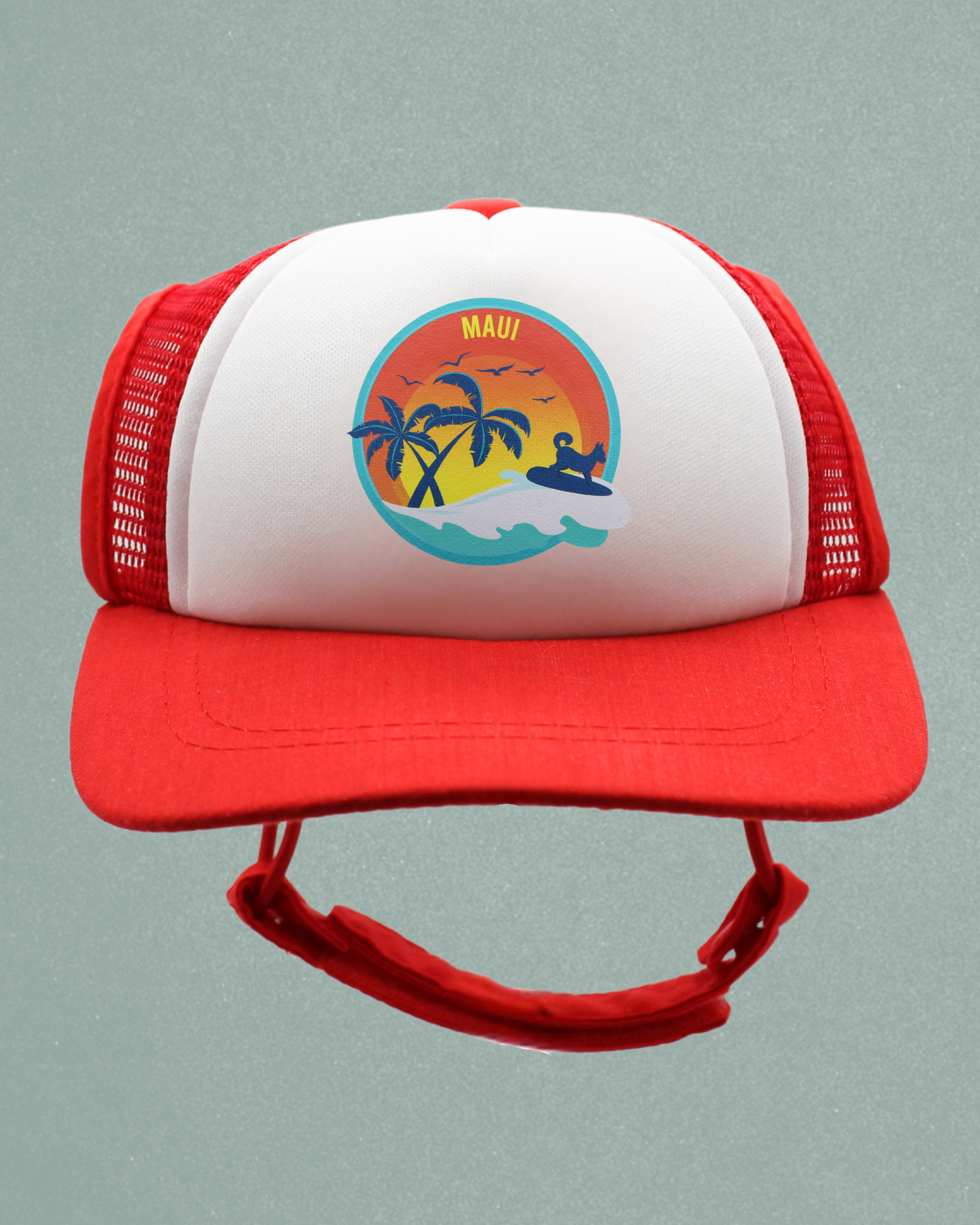 maui surfer dog | pawsitive partner