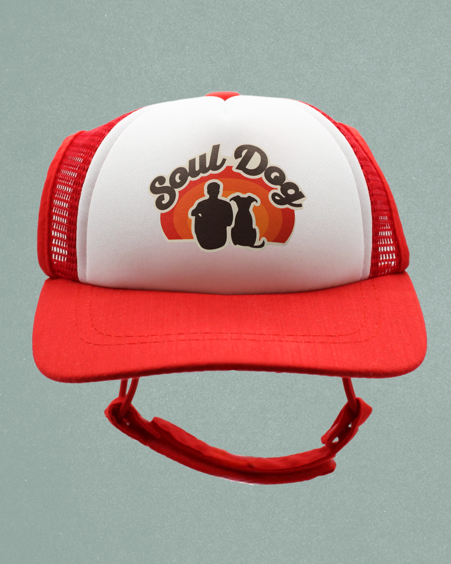 soul dog dad