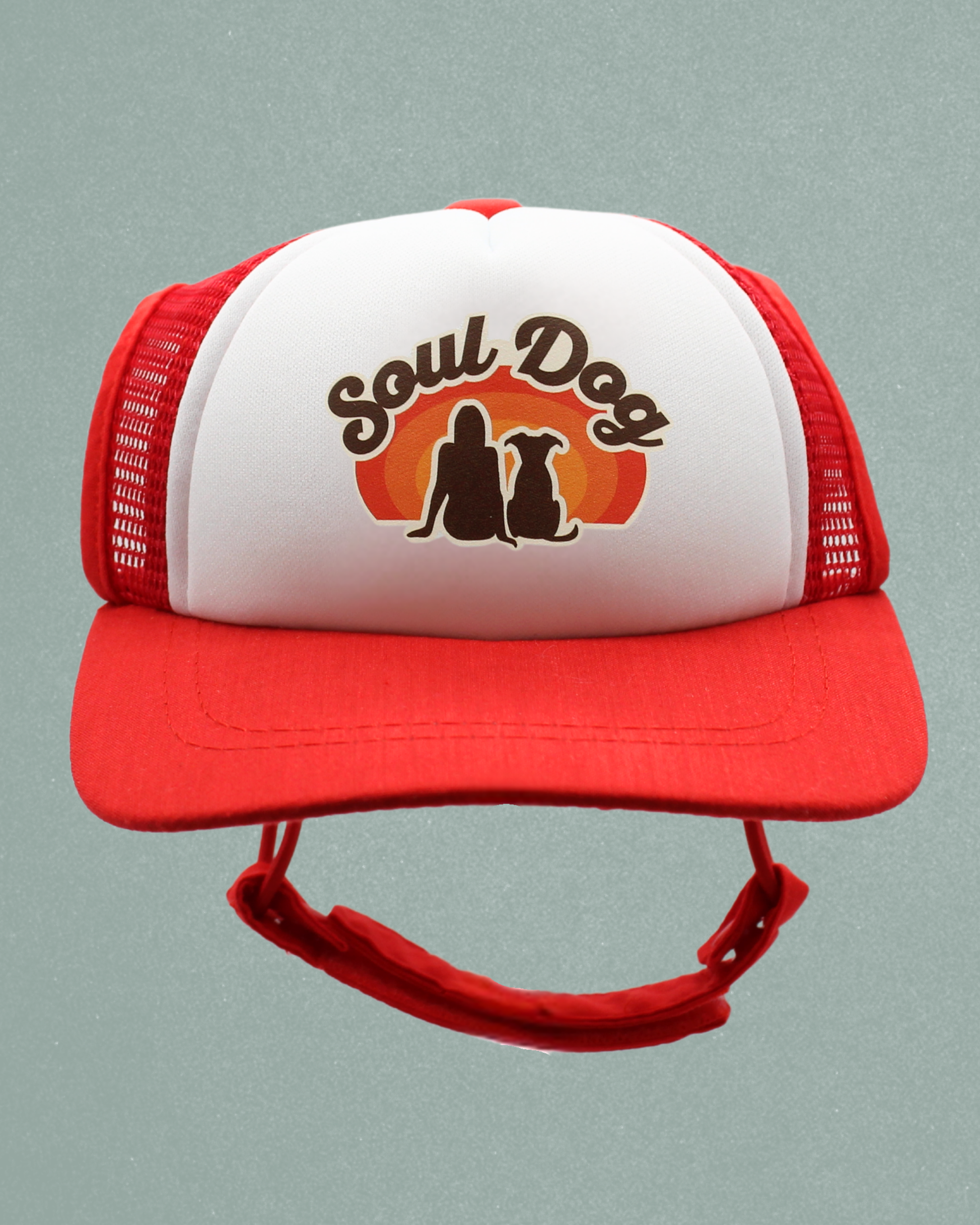 soul dog mom