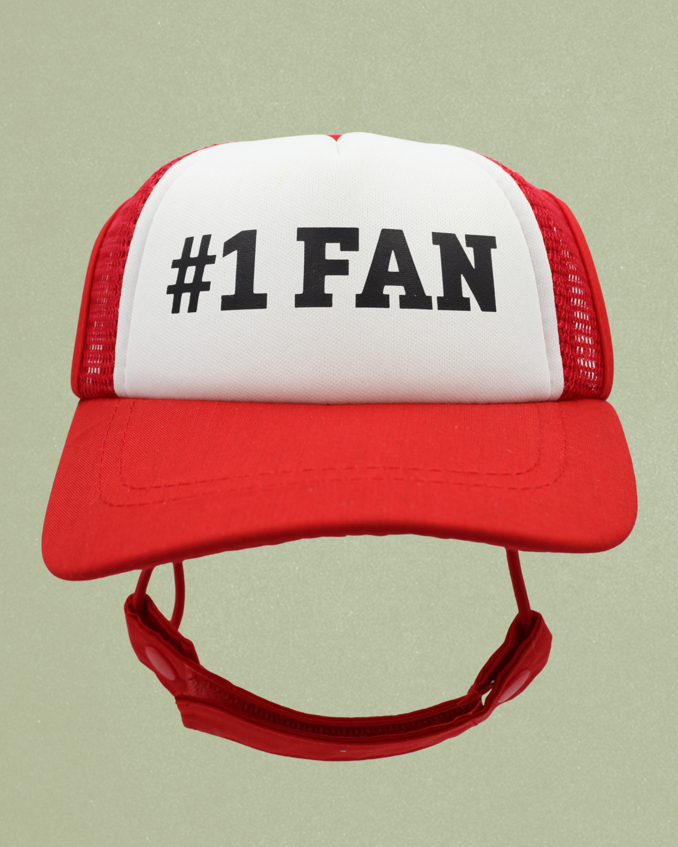 #1 fan