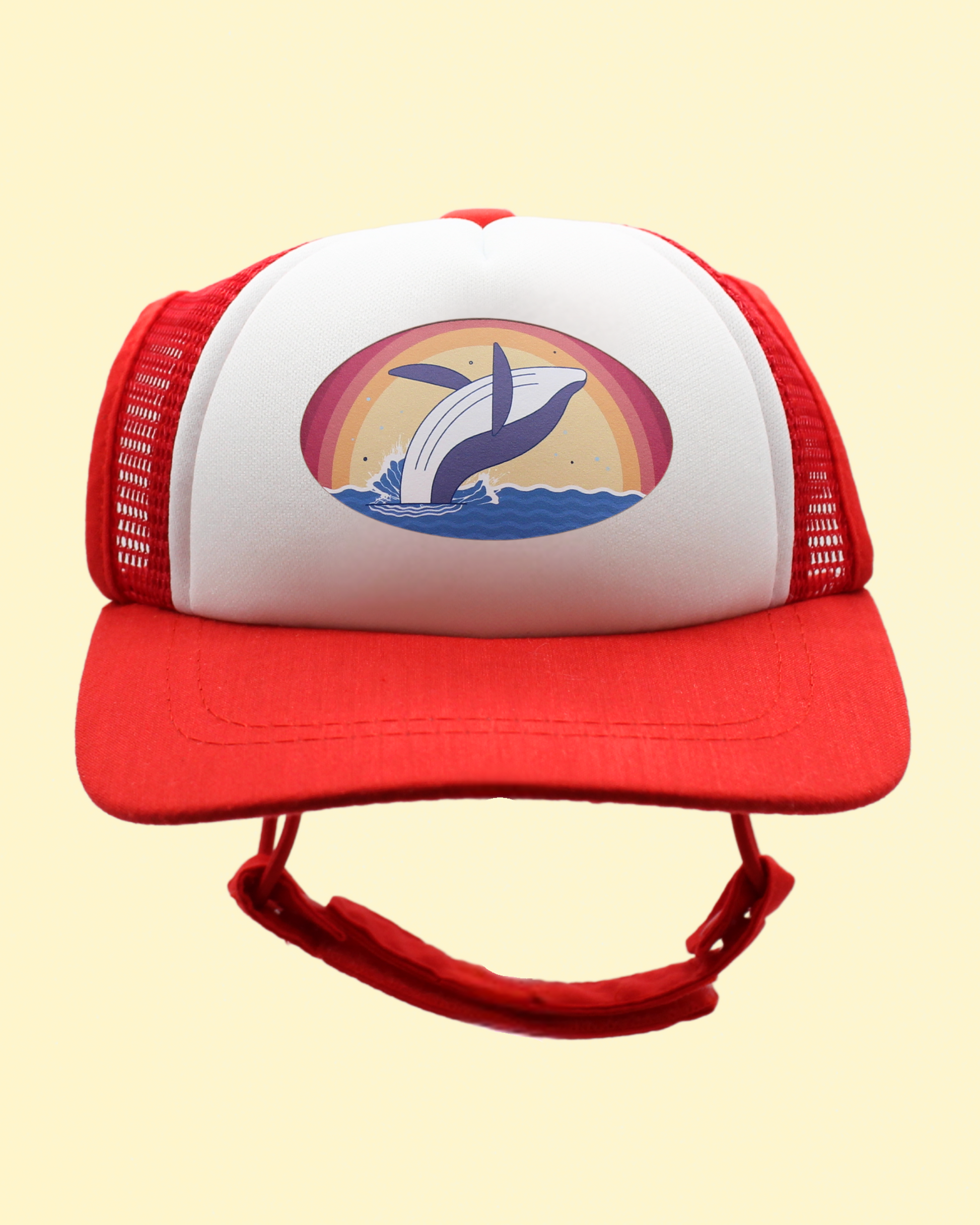 whale