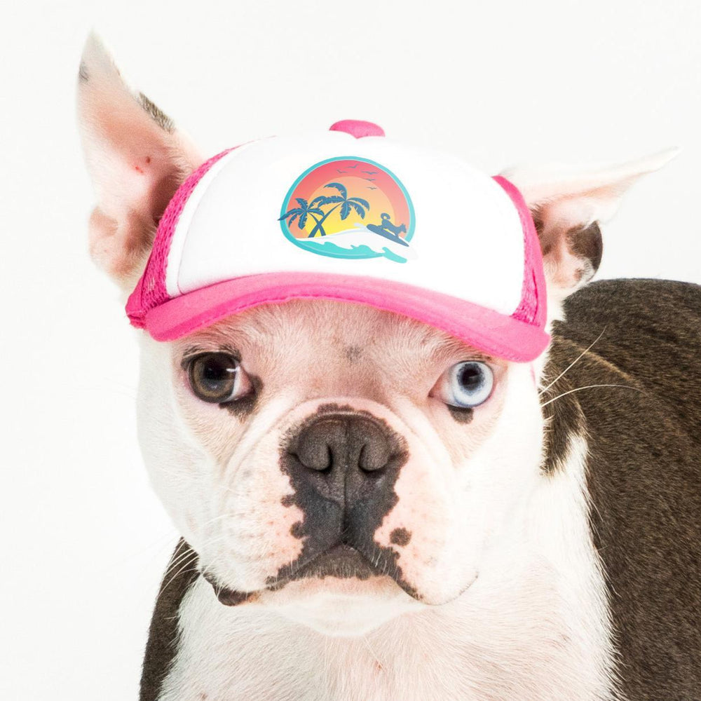 PupLid Sunset Designs | Size XS Dog Hat