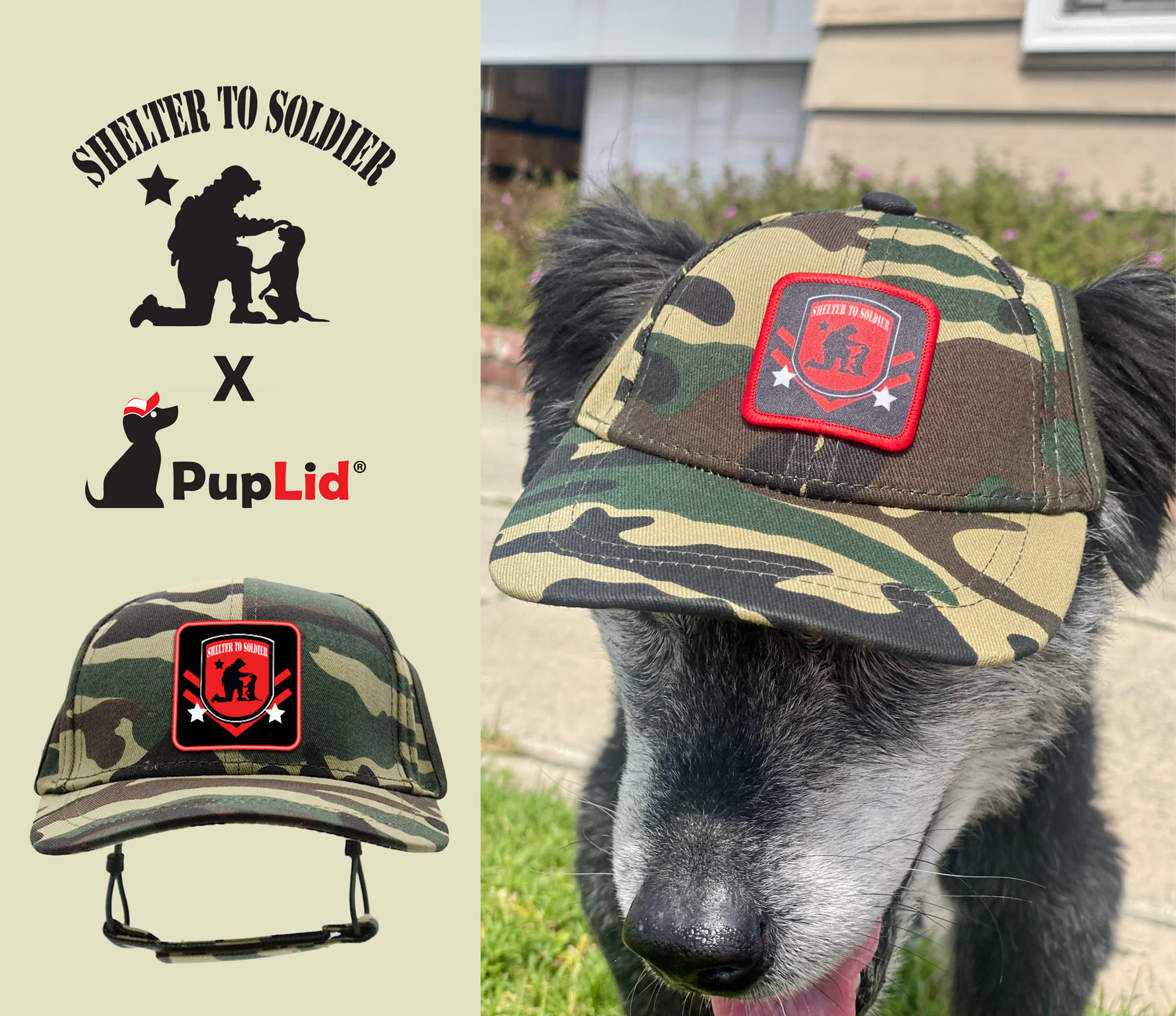 Premium Hats for Dogs Cats and Their Families PupLid