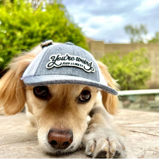 Ball caps for dogs sales