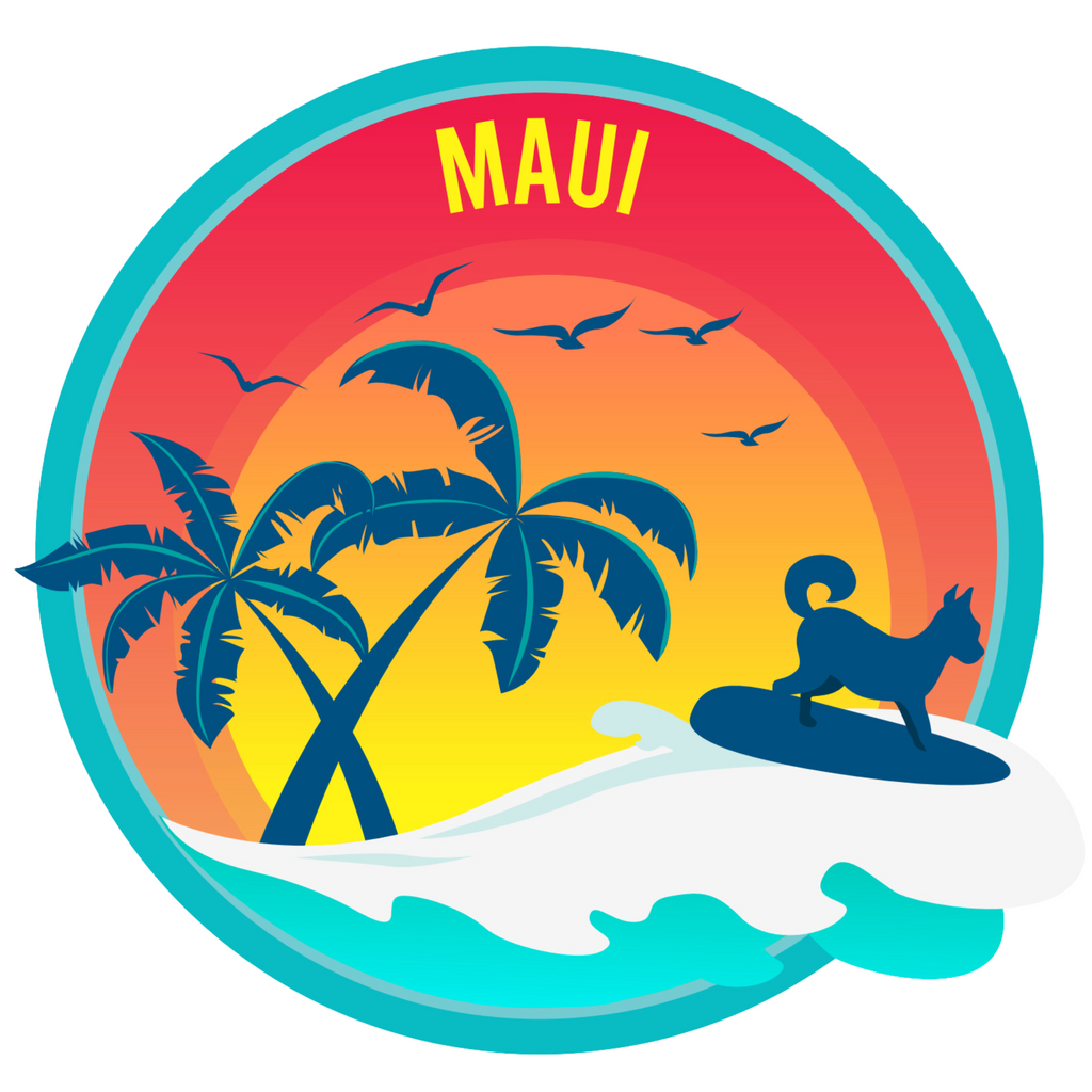 maui surfer dog | pawsitive partner