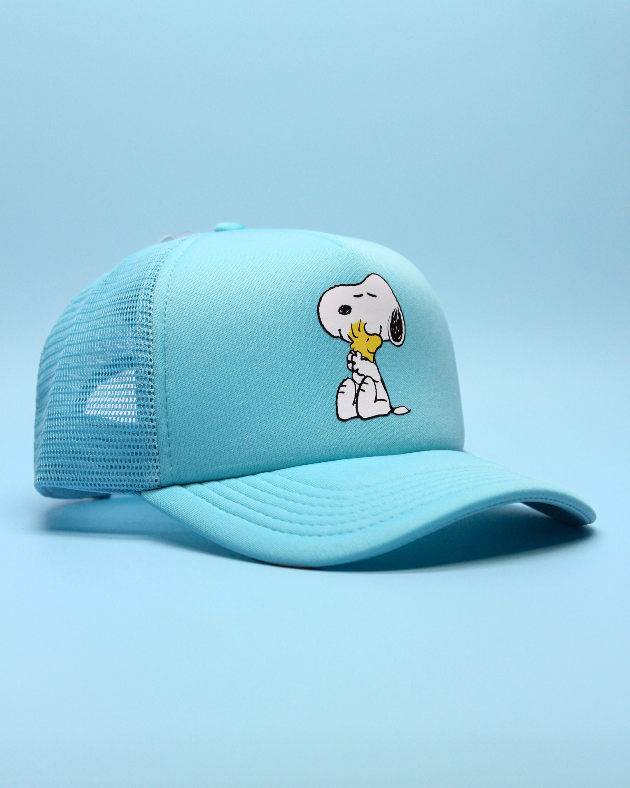 snoopy & woodstock hug | matching human hat