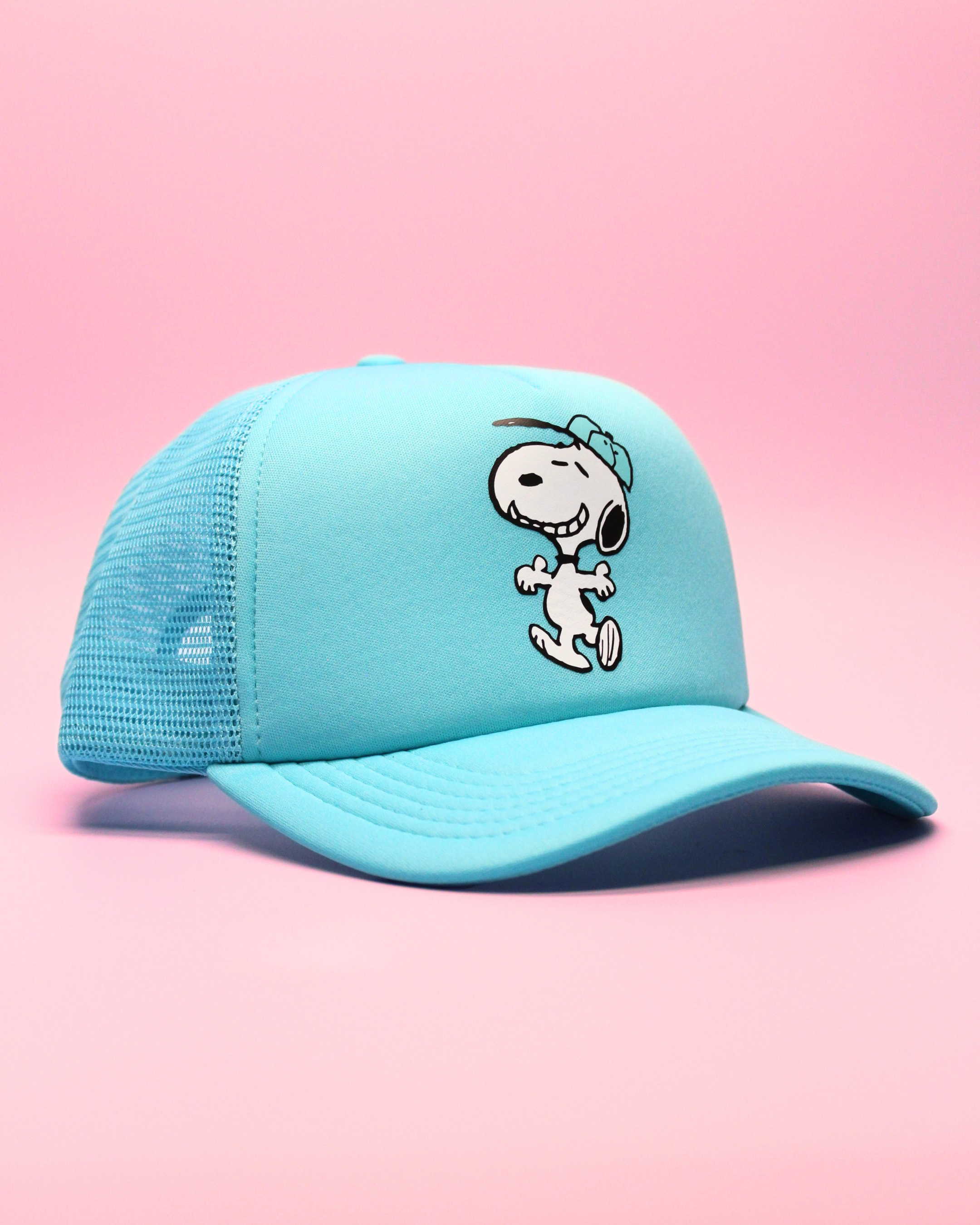 snoopy dancing with hat | matching human hat