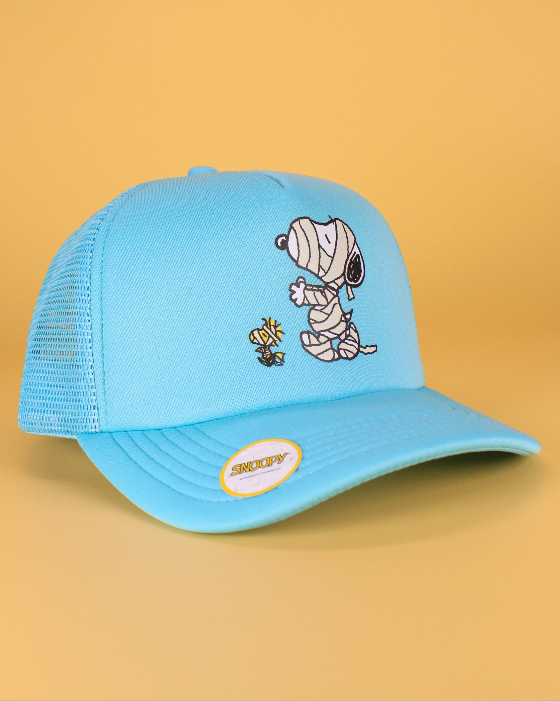 Peanuts halloween collection | matching human hat