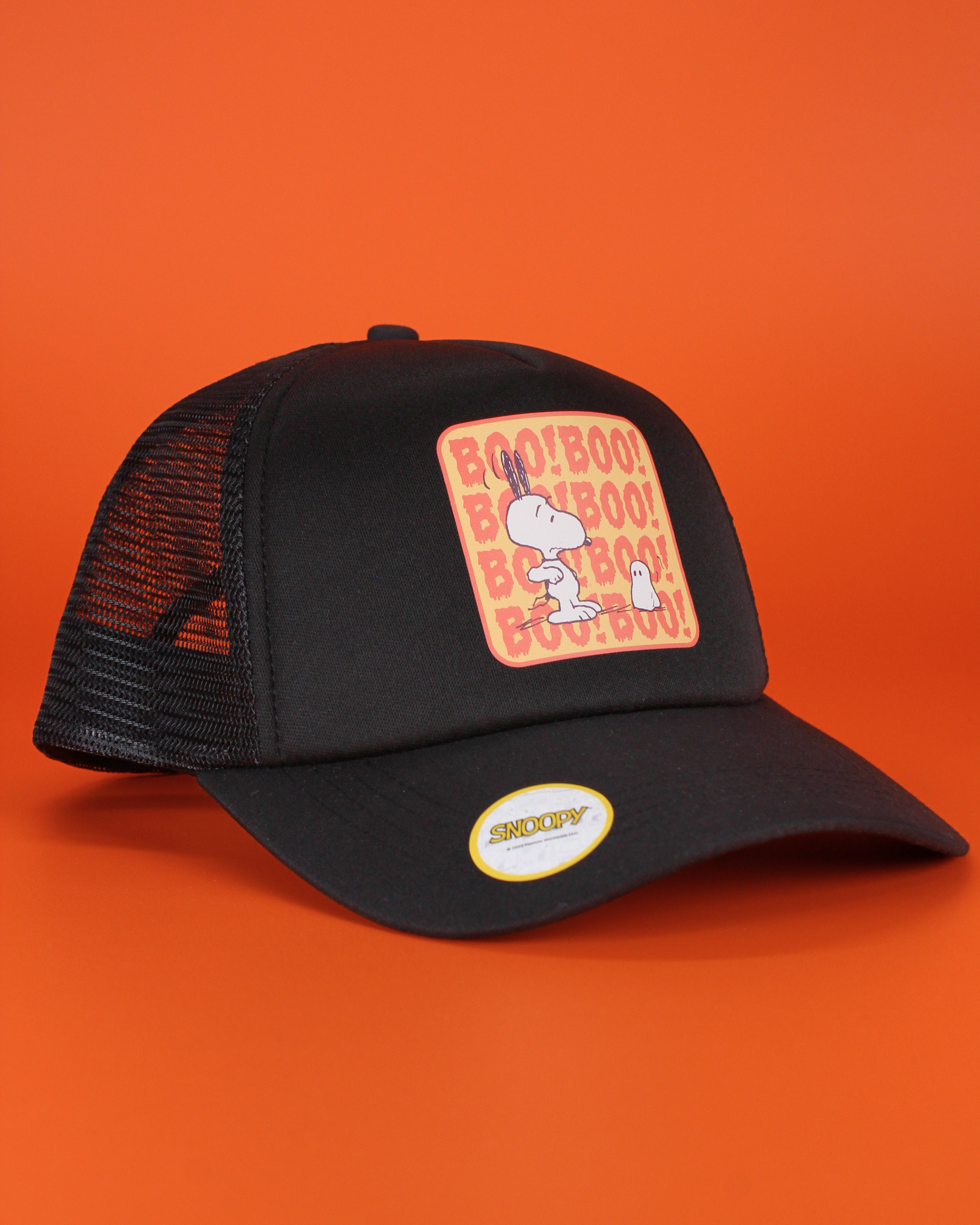 Peanuts halloween collection | matching human hat