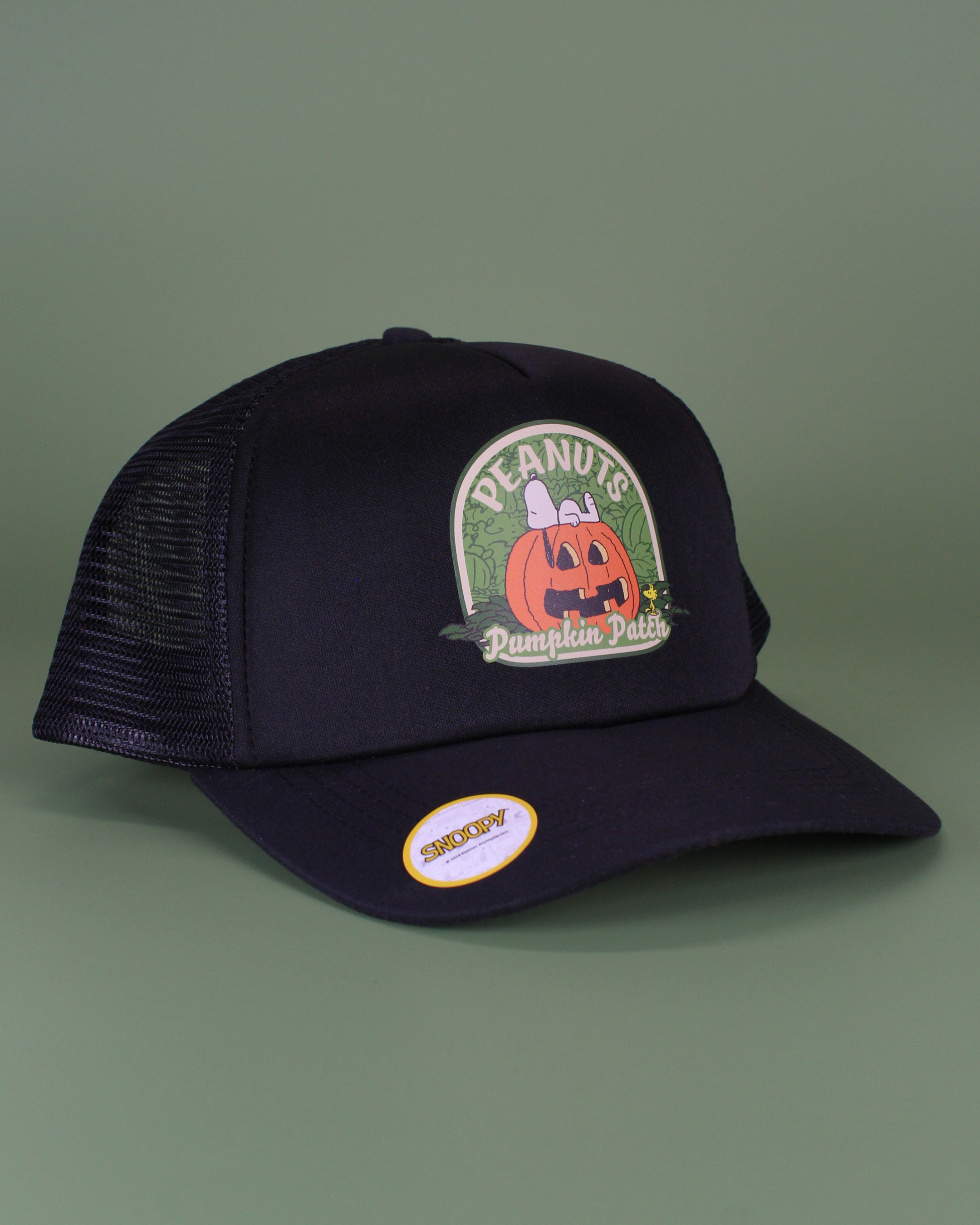 Peanuts halloween collection | matching human hat