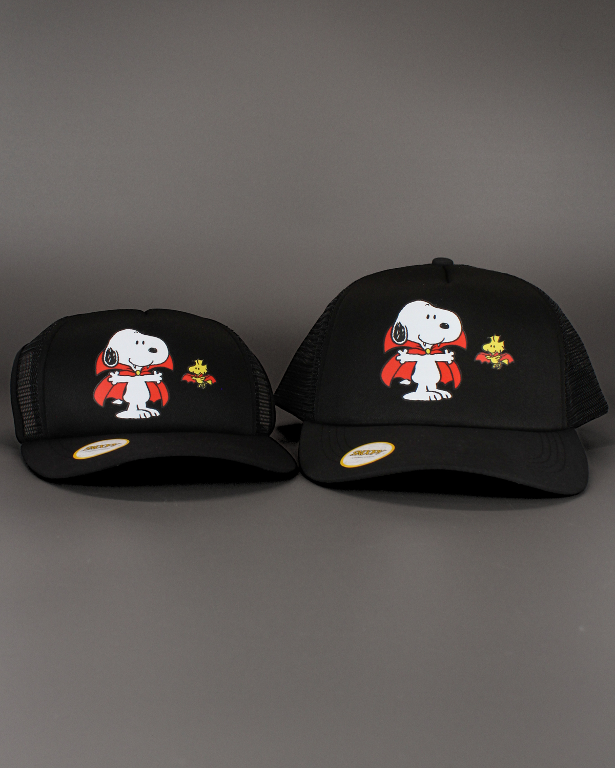 Peanuts halloween collection | matching human hat