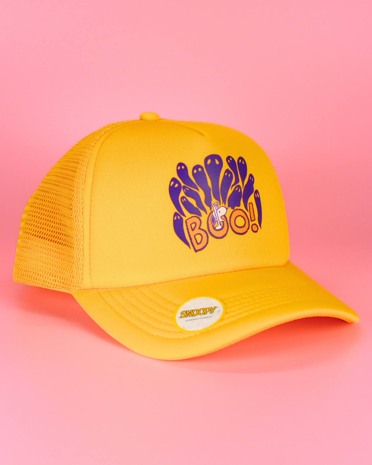 Peanuts halloween collection | matching human hat