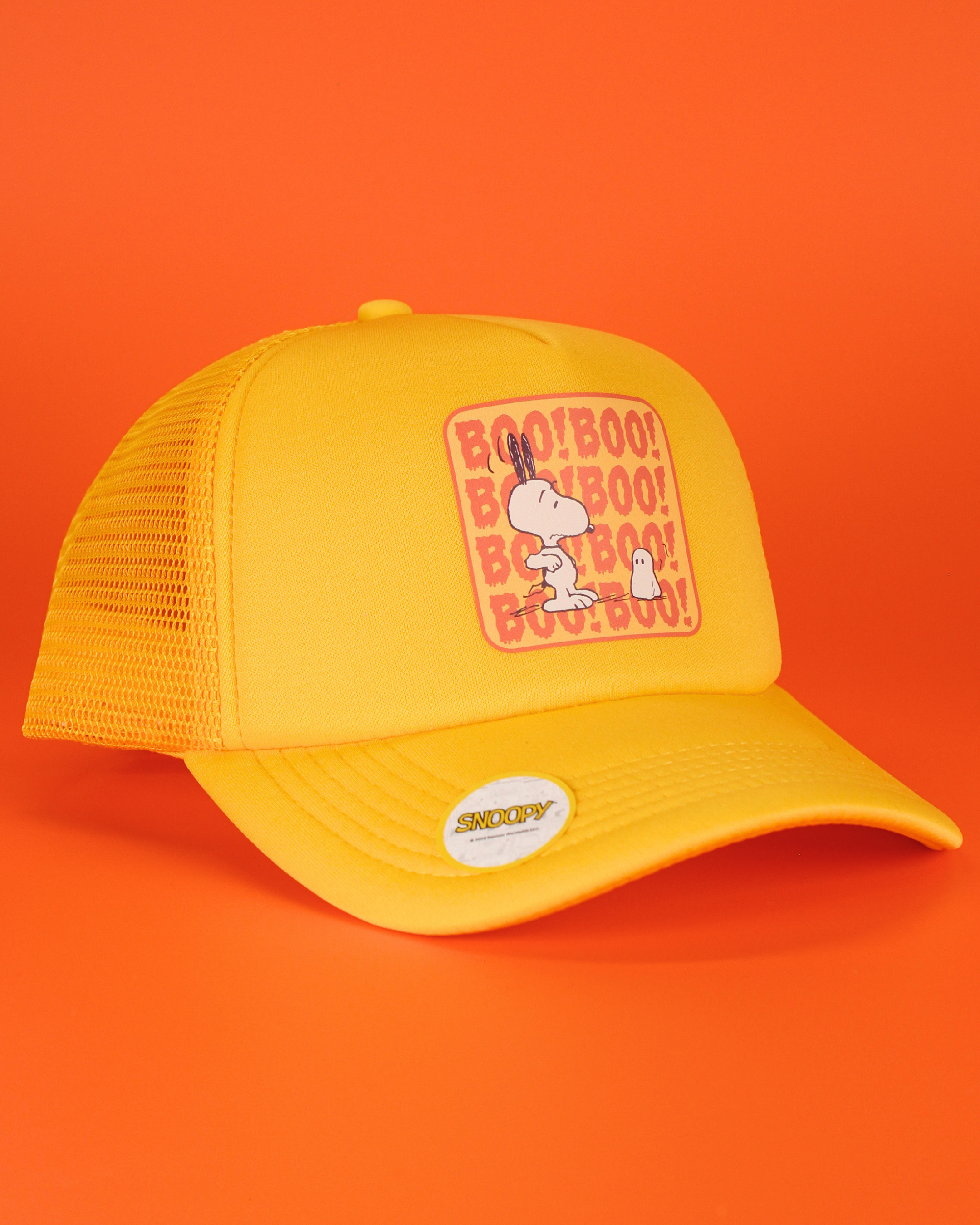 Peanuts halloween collection | matching human hat