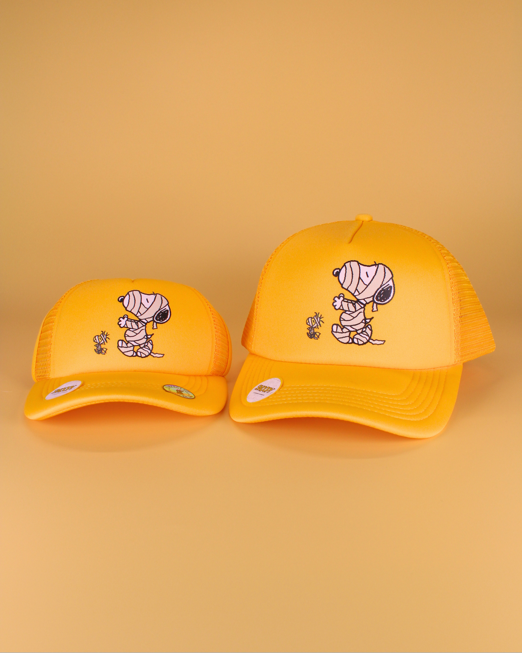 Peanuts halloween collection | matching human hat