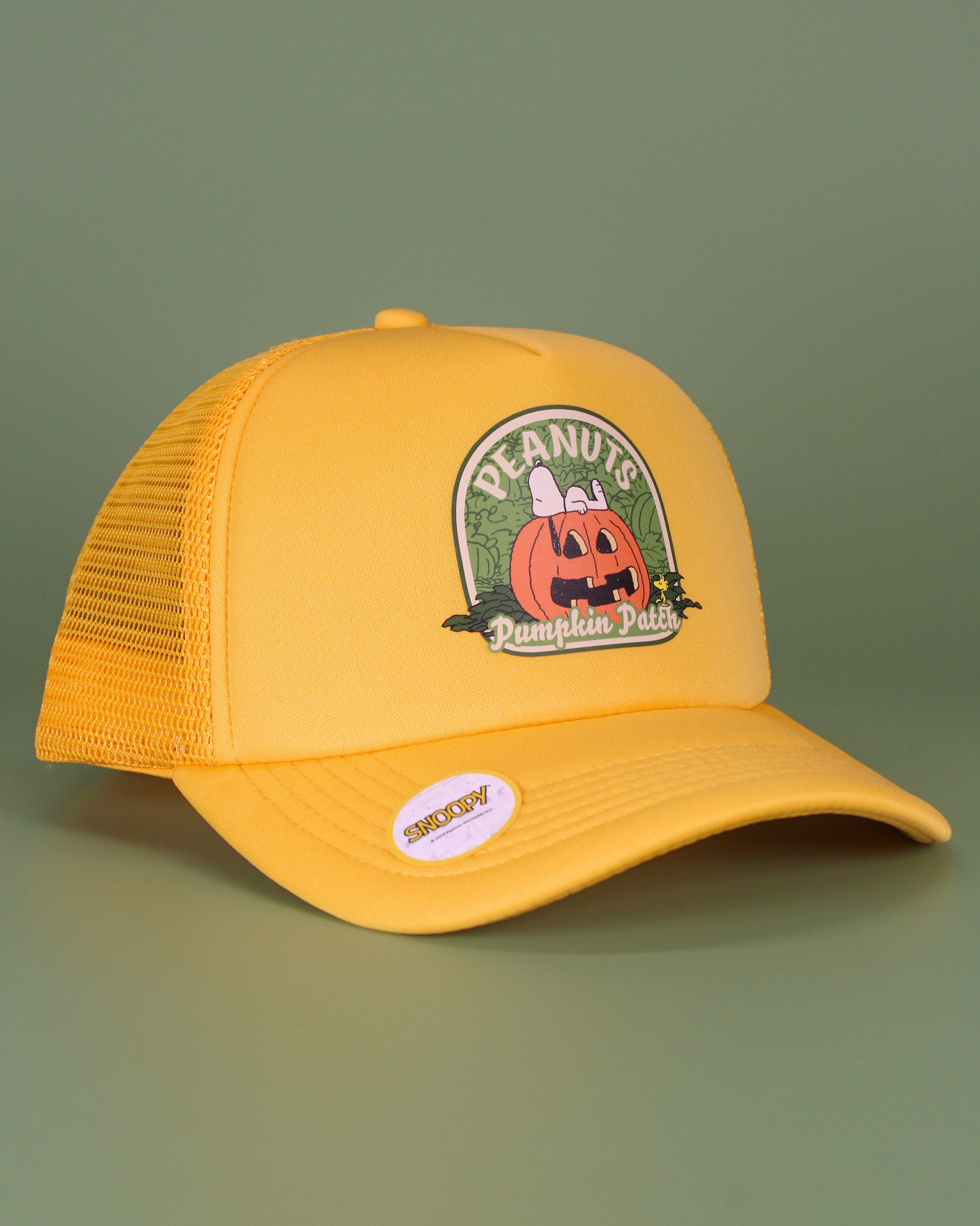 Peanuts halloween collection | matching human hat