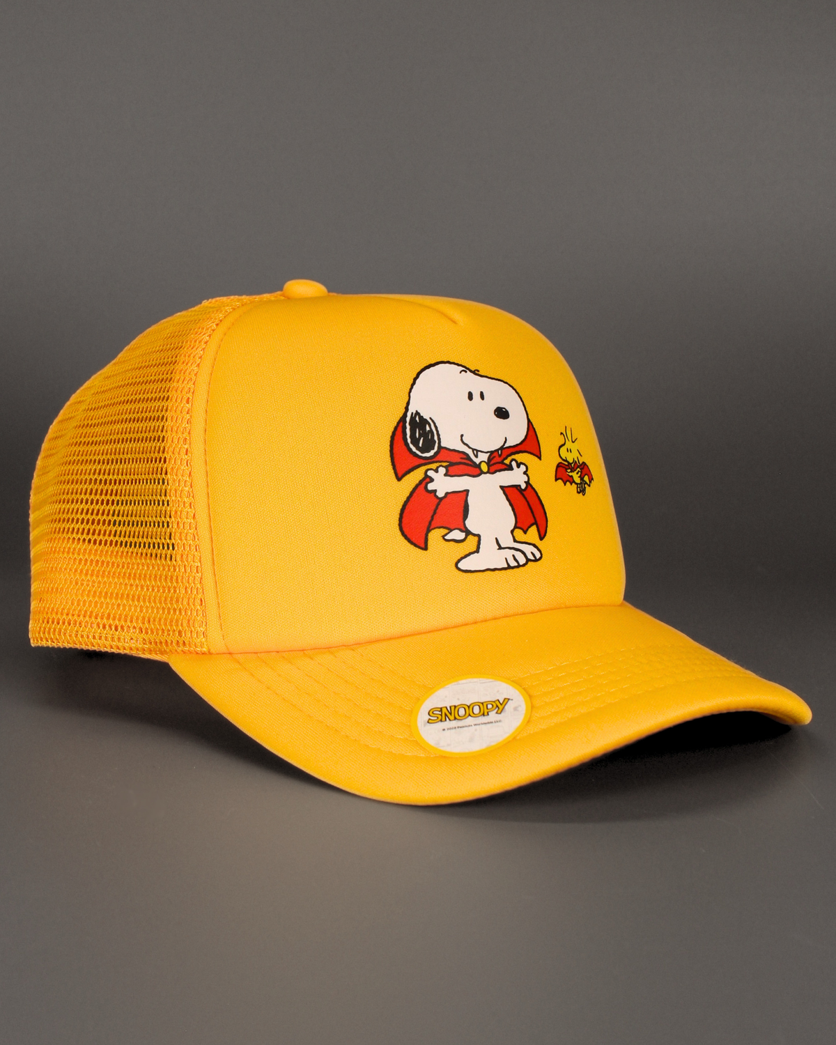 Peanuts halloween collection | matching human hat