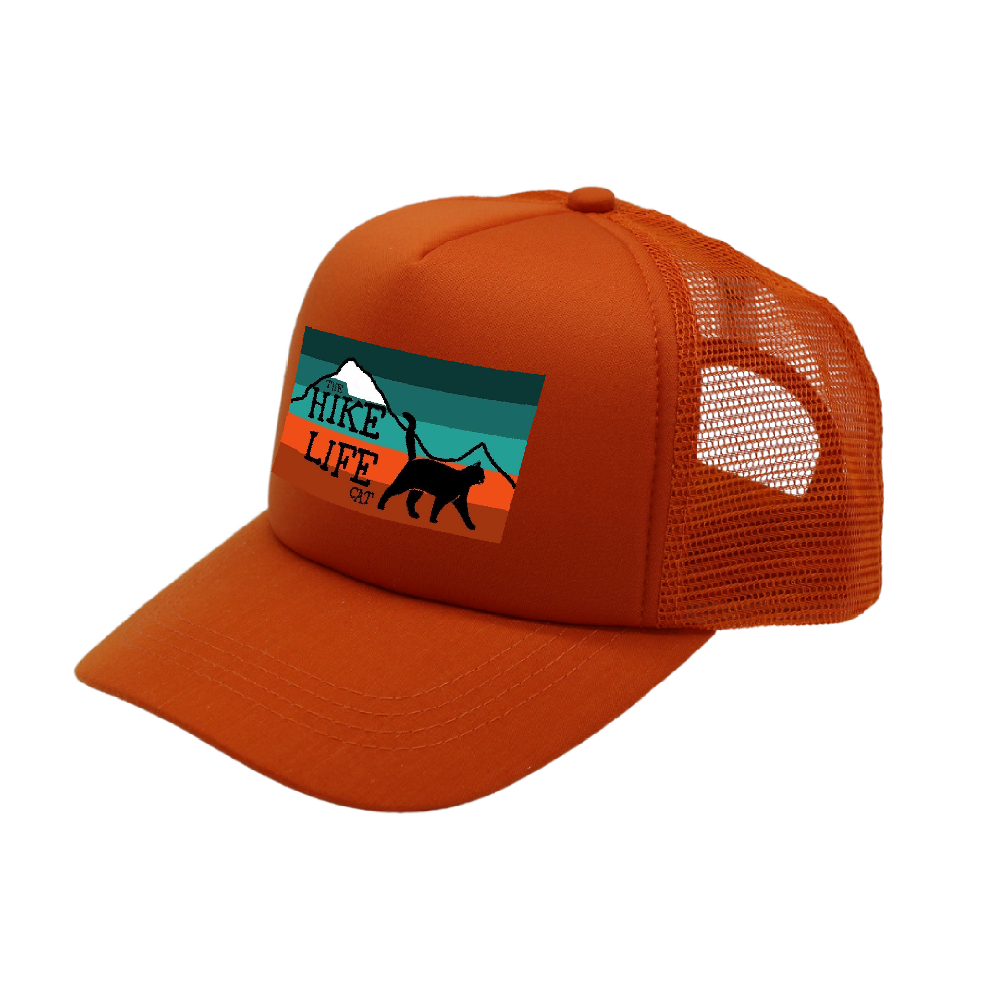 cat designs matching human hat