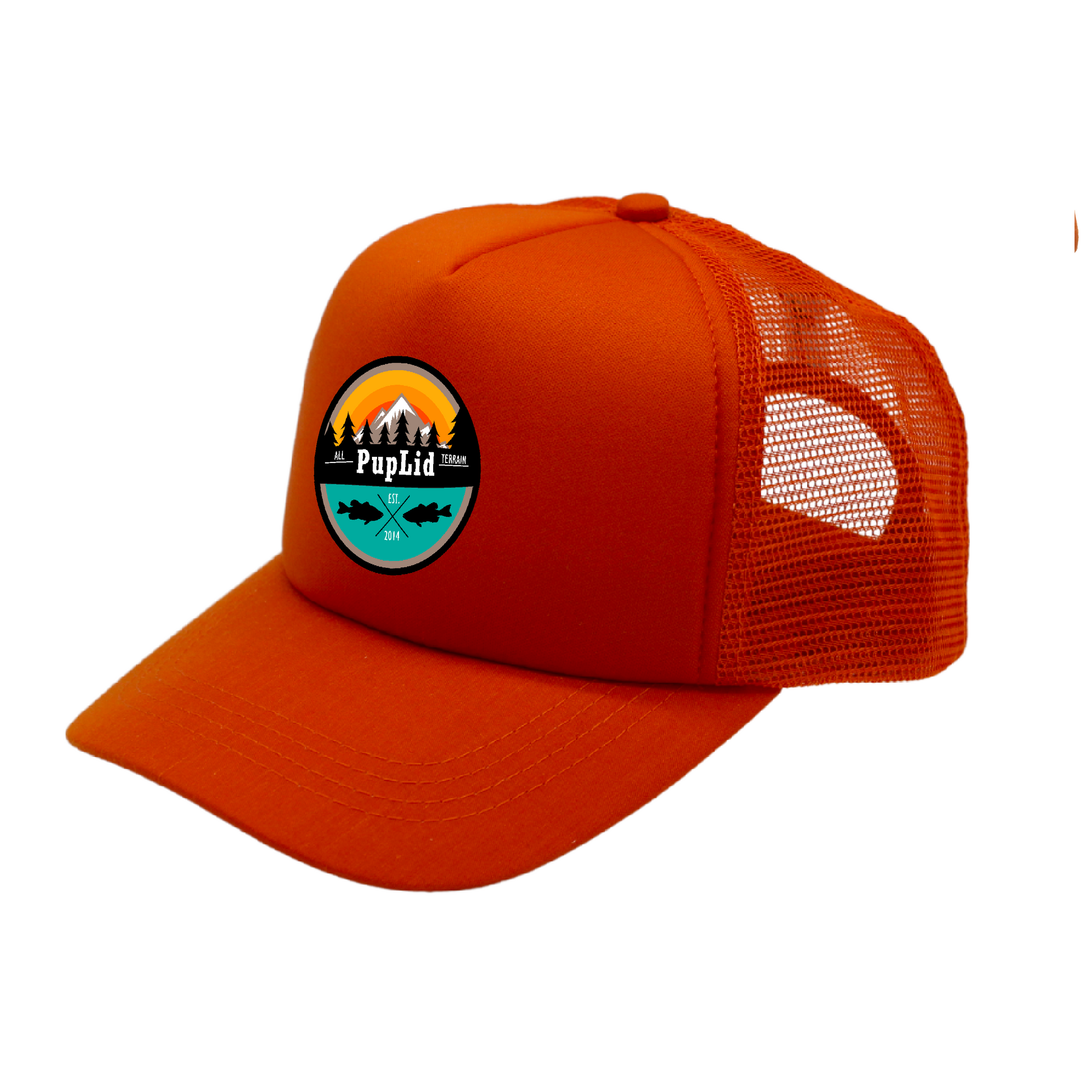 cat designs matching human hat